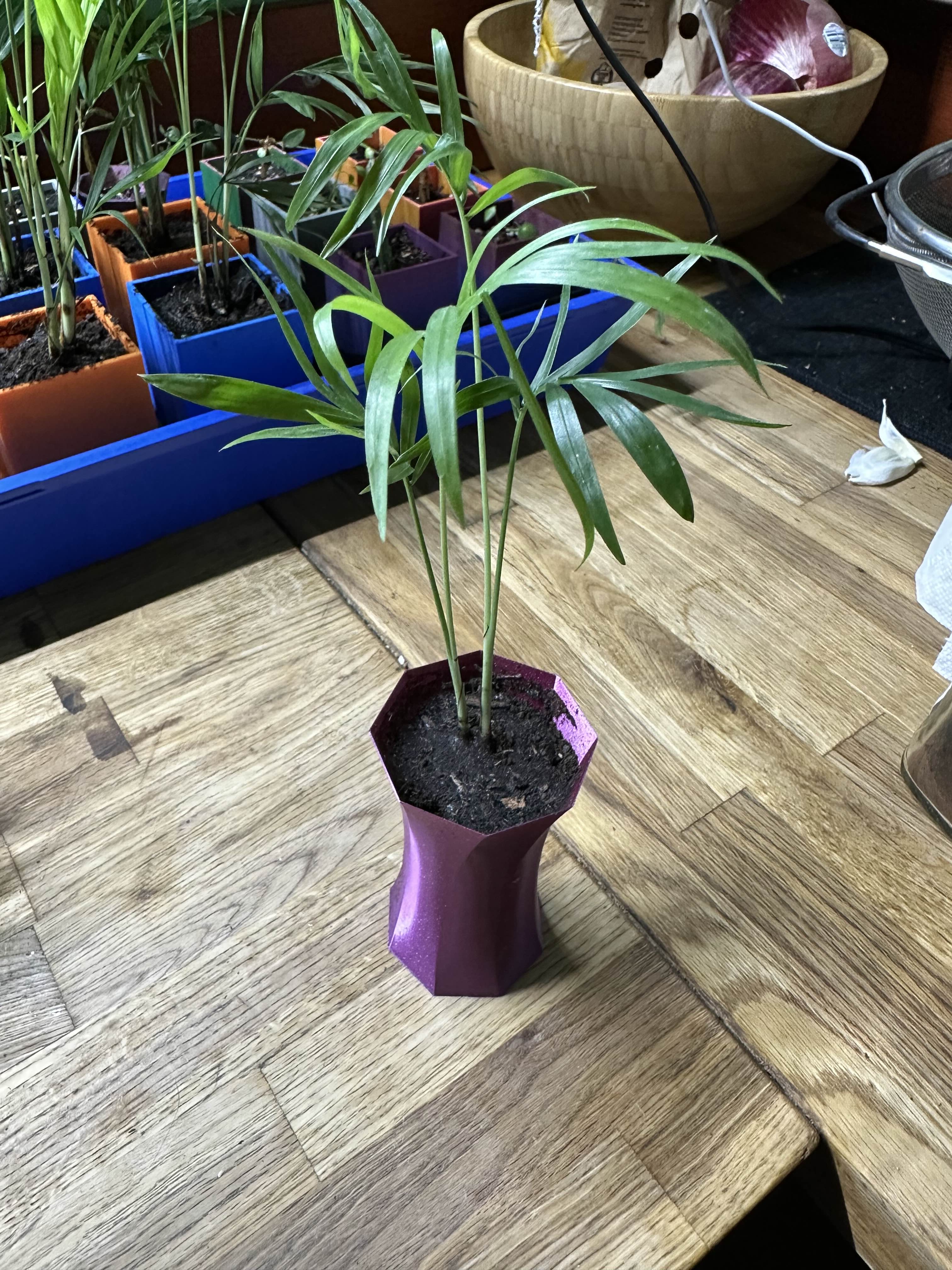 Spiral Octagon Vase