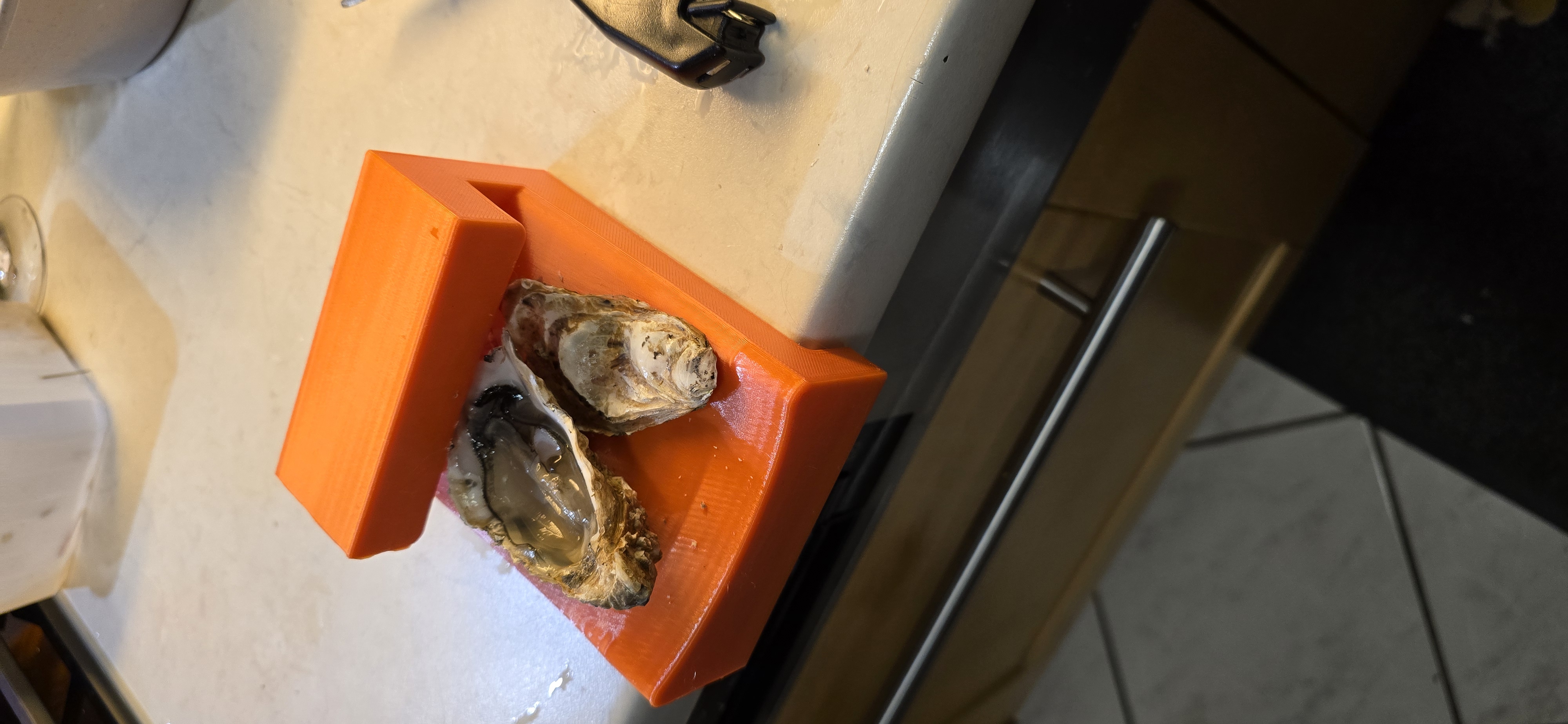 Sabot à huîtres / Oyster clog
