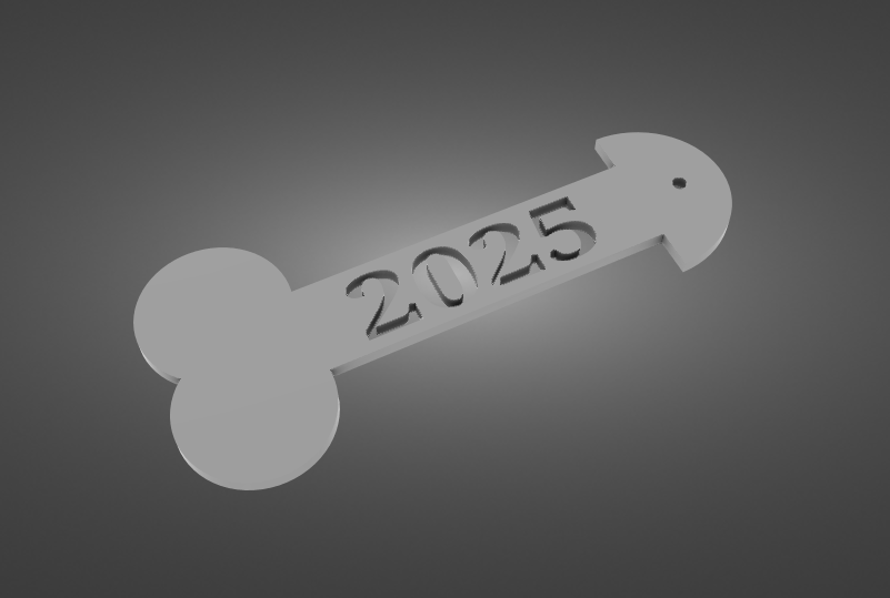 2025 Dick keychain