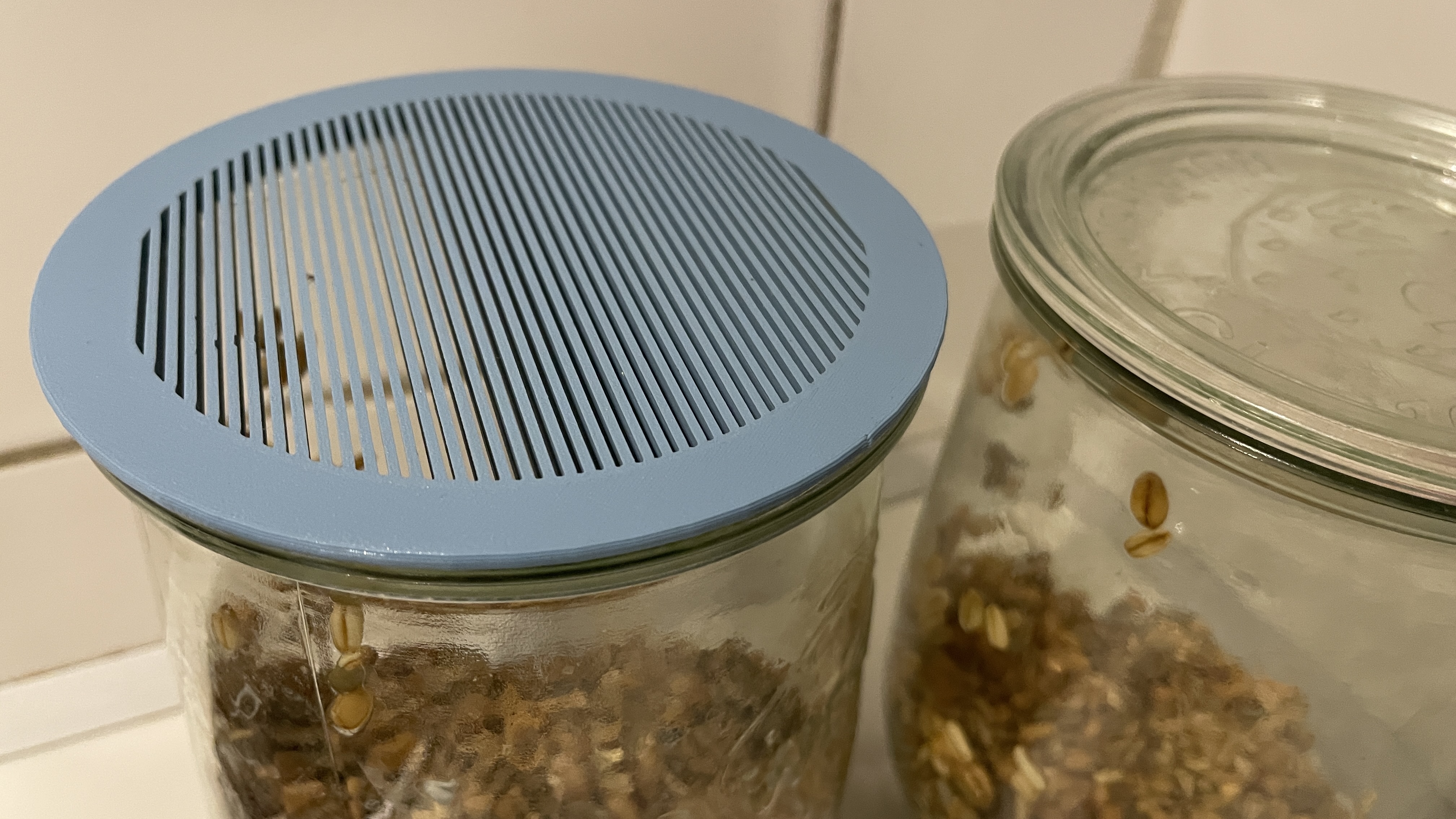 Siebdeckel für Weckgläser - Strainer cover for Weck (preserving) jar. 11 mm diameter.