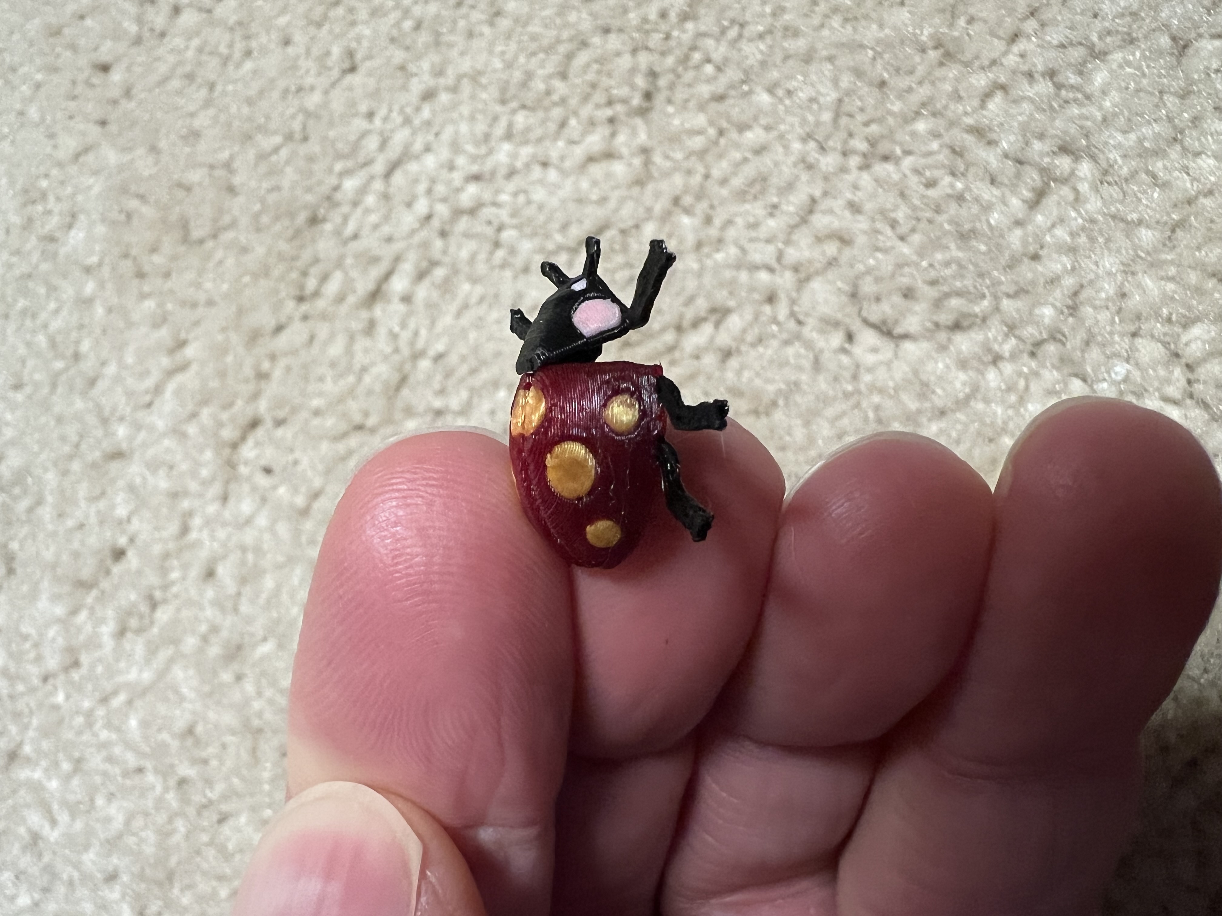Multicolor ladybug