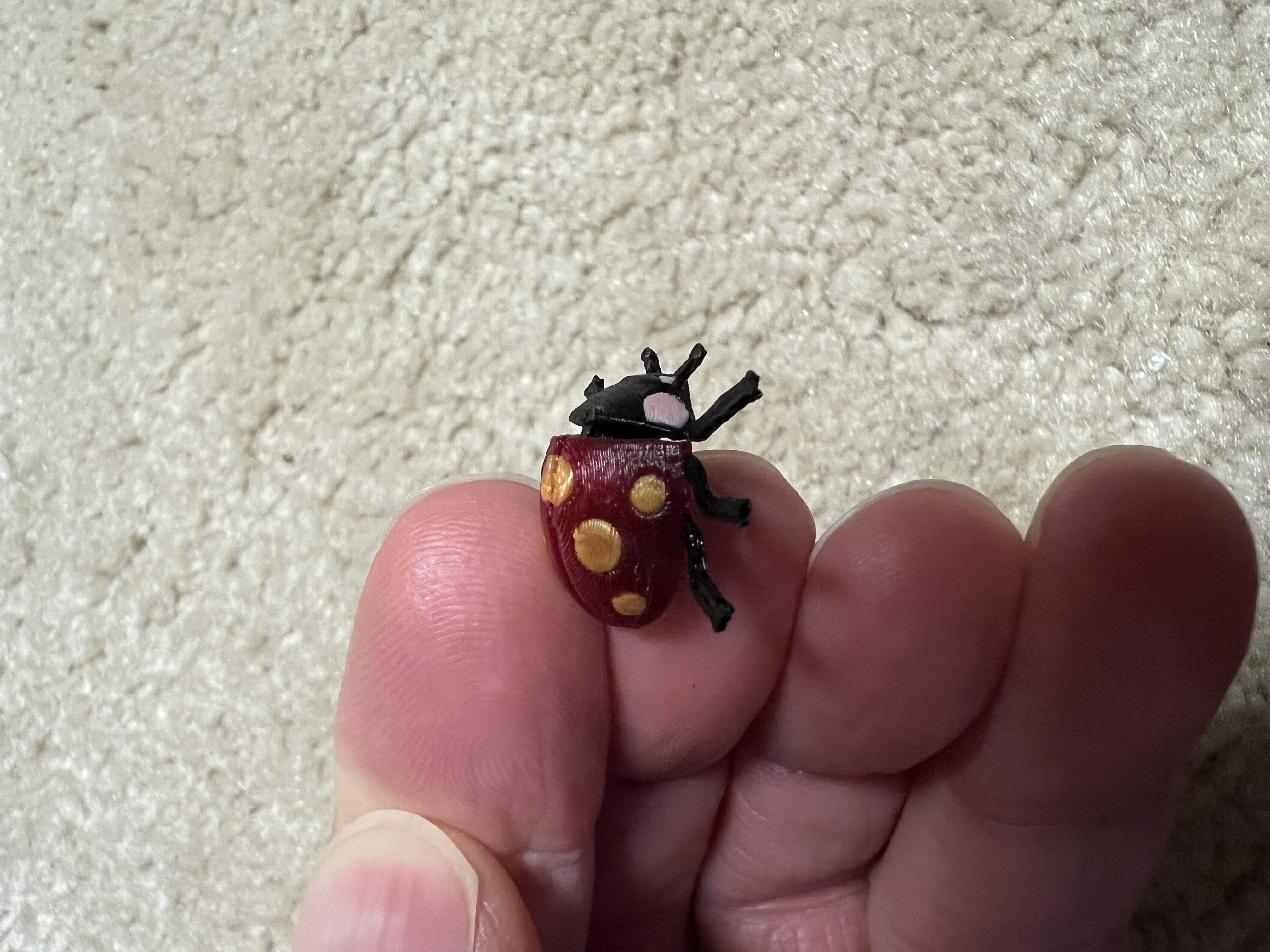 Multicolor ladybug — miniatura 2