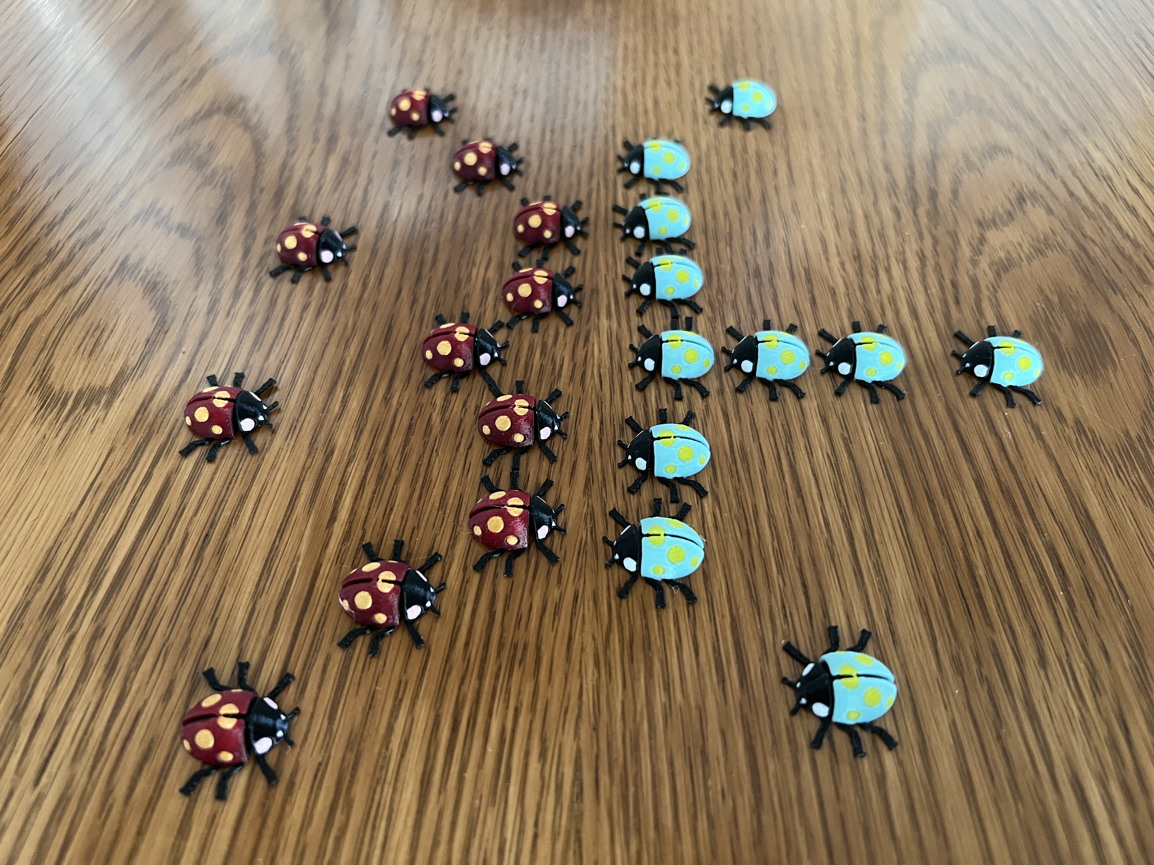 Multicolor ladybug — miniatura 3
