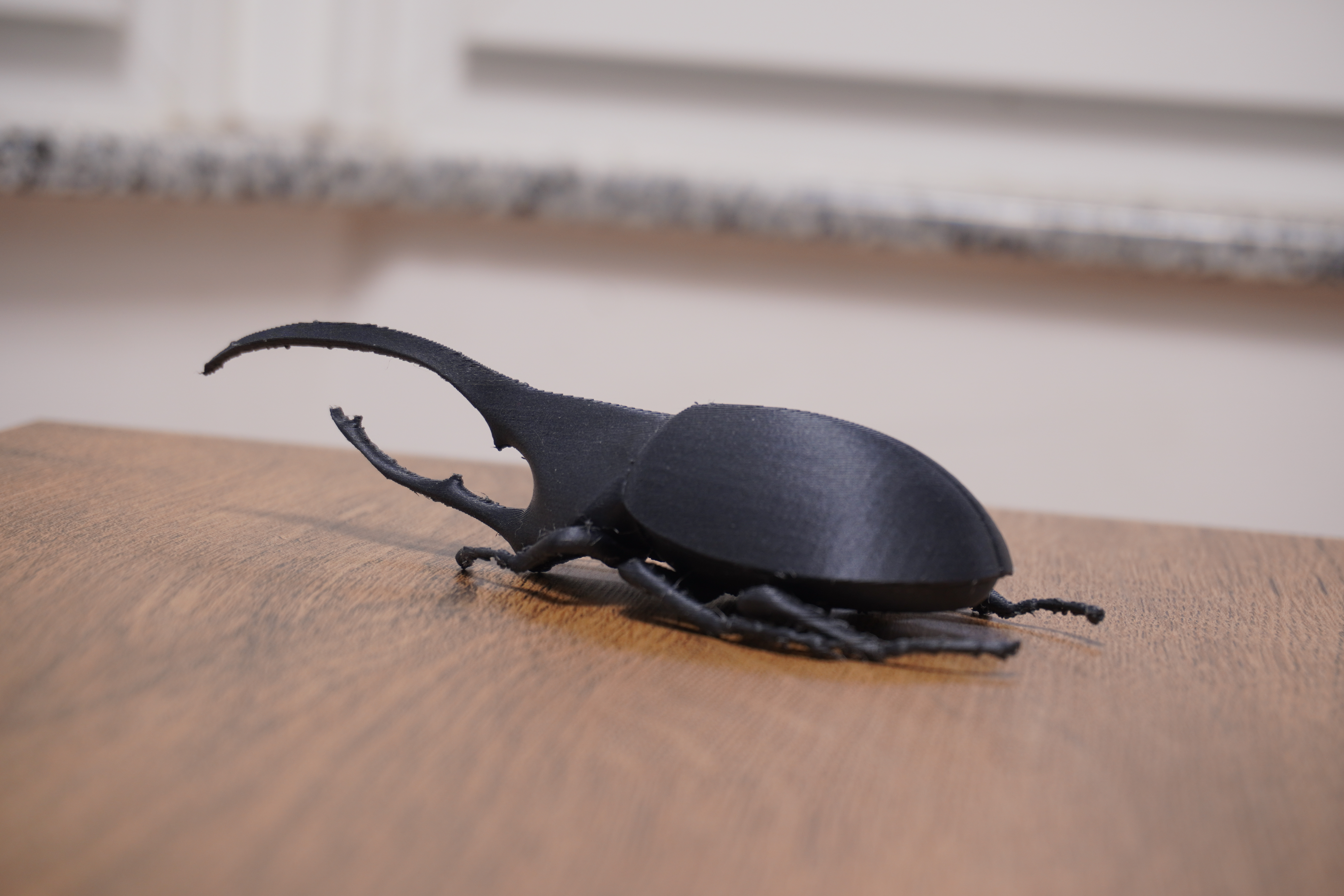 Beetle Hercules — thumbnail 3