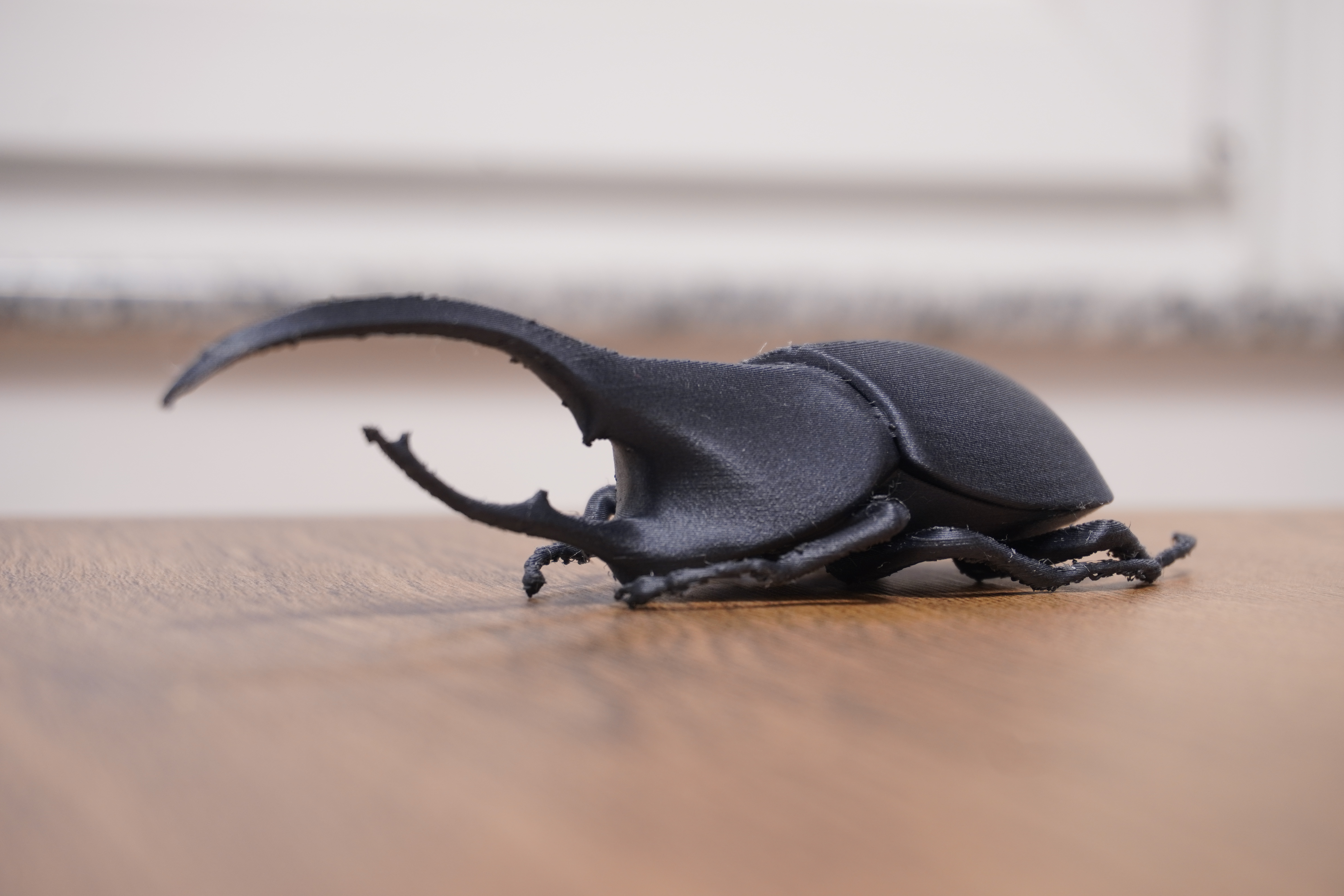 Beetle Hercules