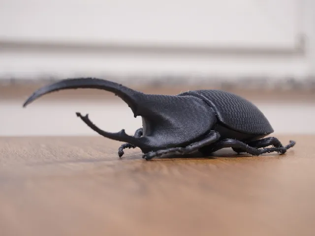 Beetle Hercules