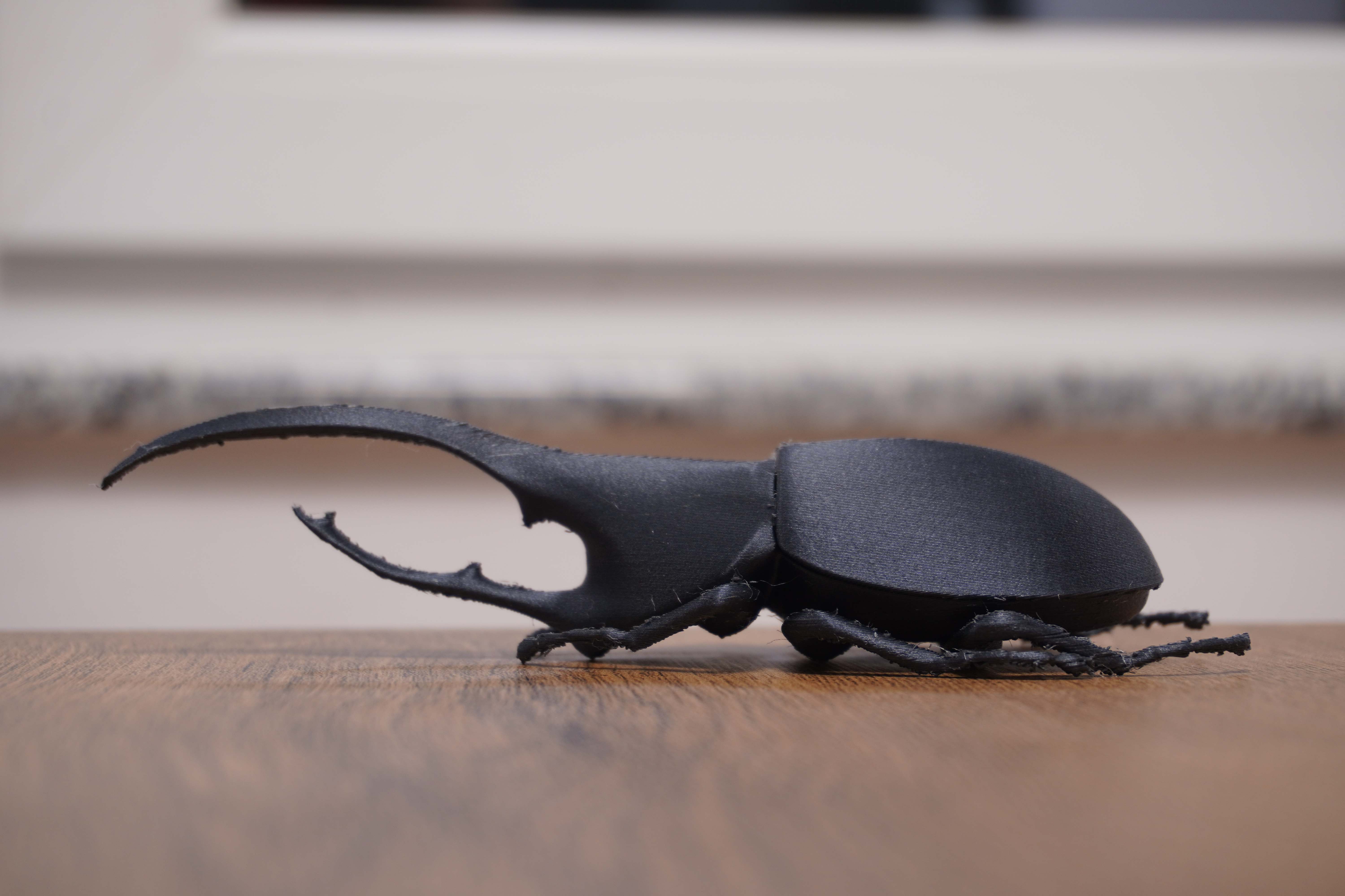 Beetle Hercules — thumbnail 2