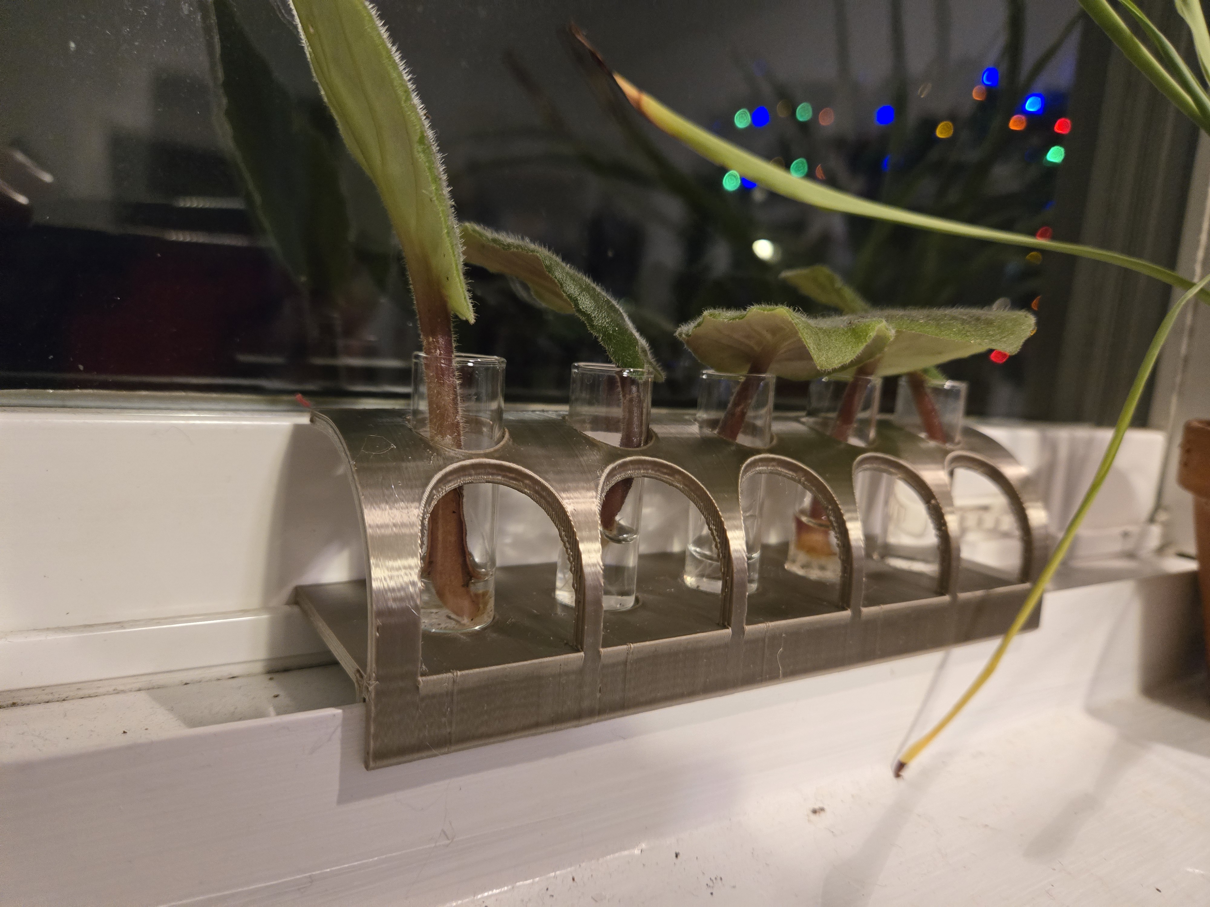 Window Shelf Propagation Tubes — miniatura 2