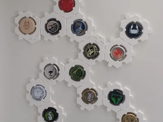 Beer cap collection holder