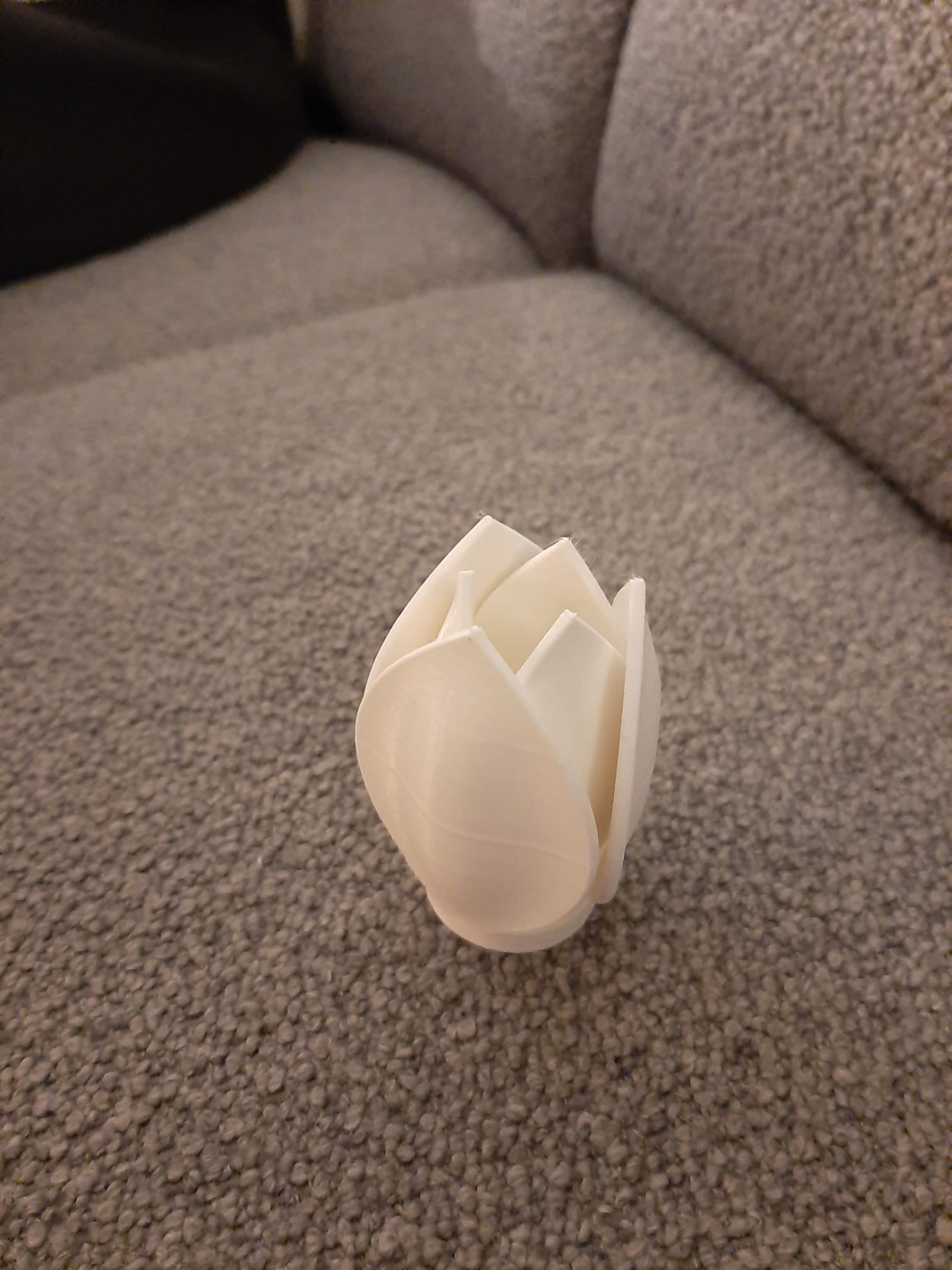 Basic tulip