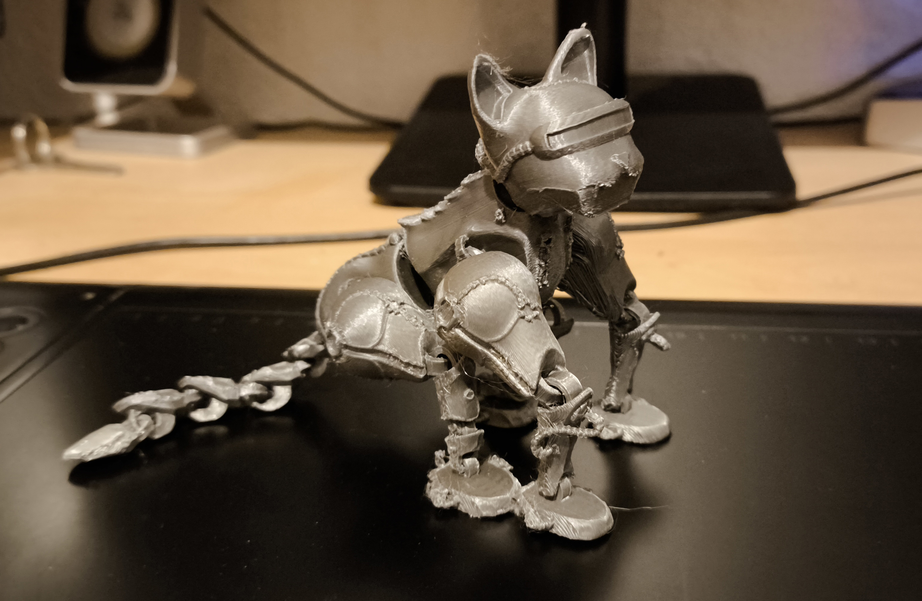 Gato Print in Place