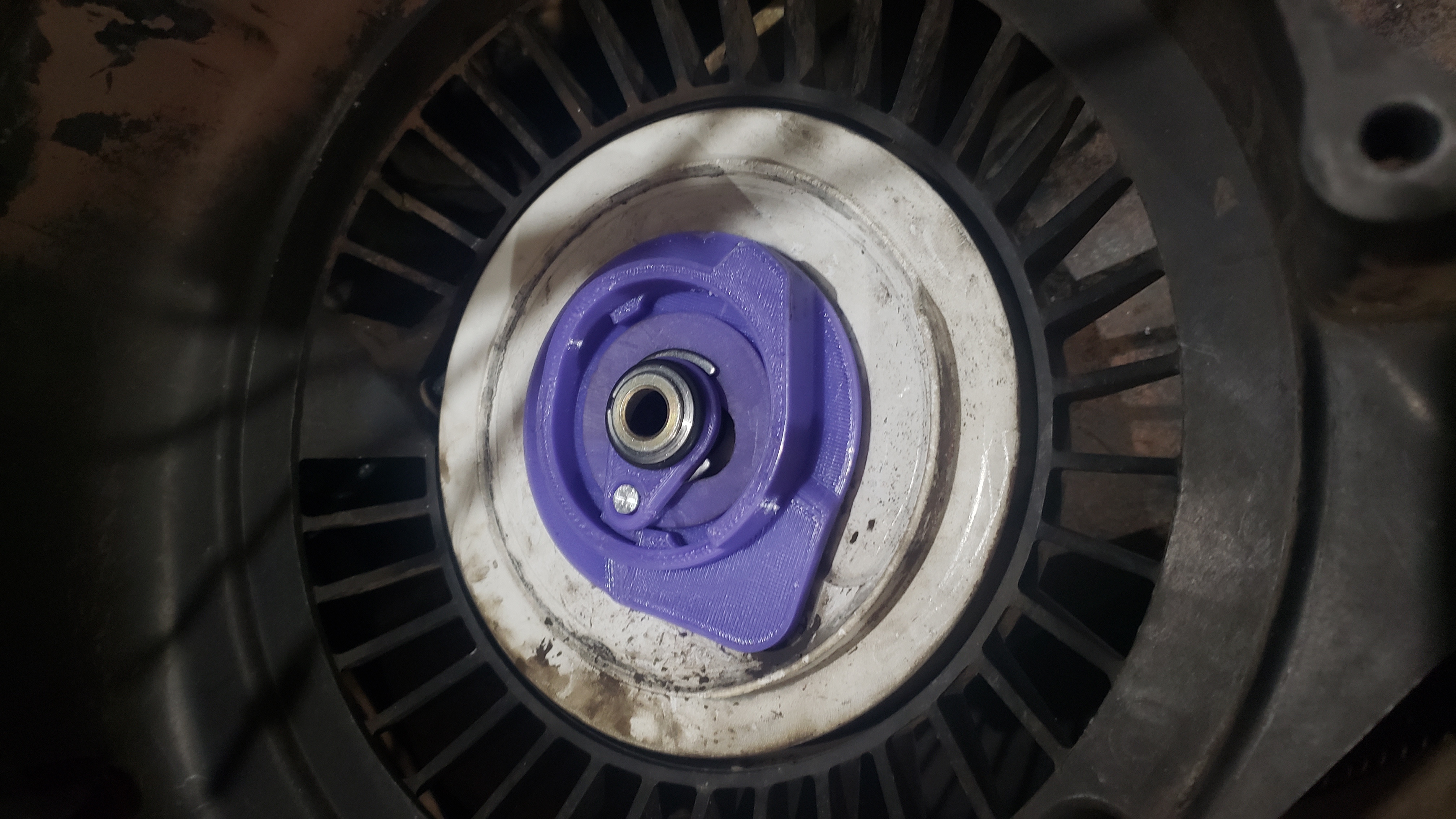 Skidoo Pawl Kit & Spring Delete