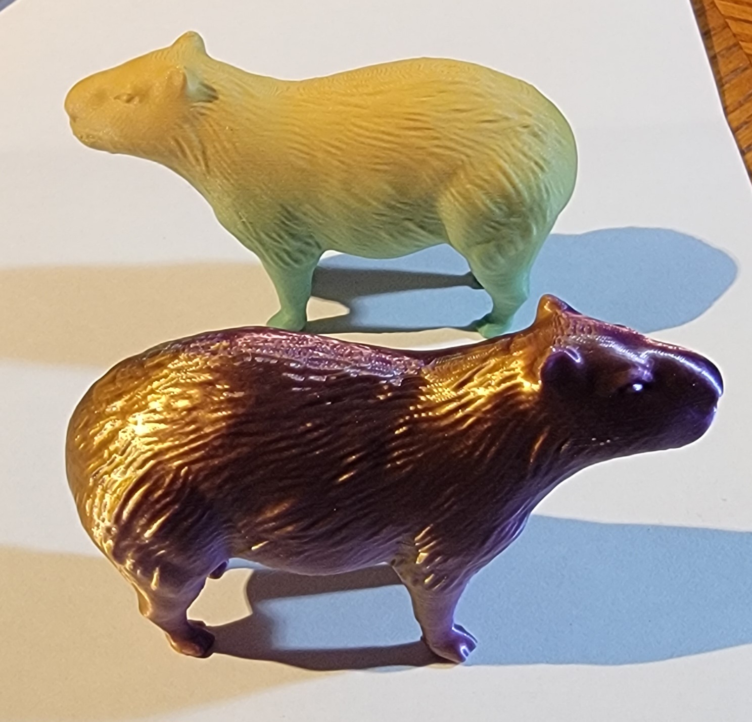 Capybara - Textured