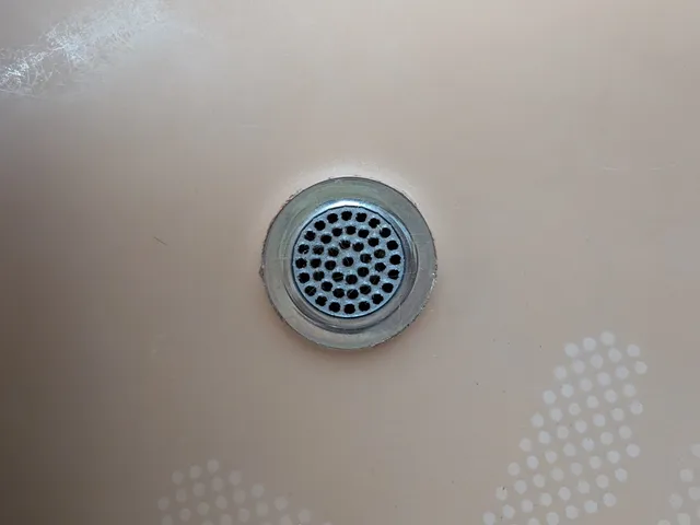 Shower drain screen
