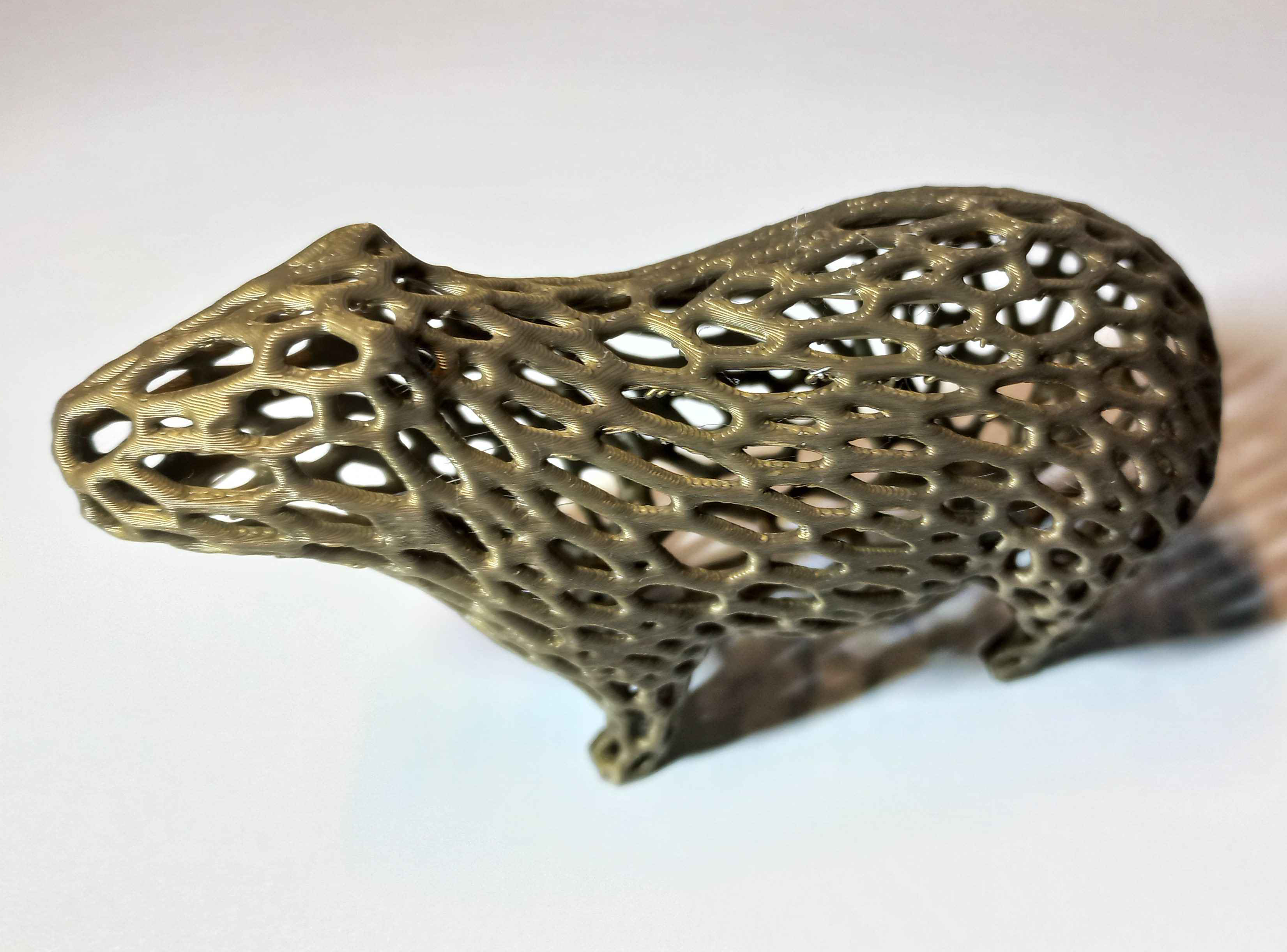 Voronoi Capybara