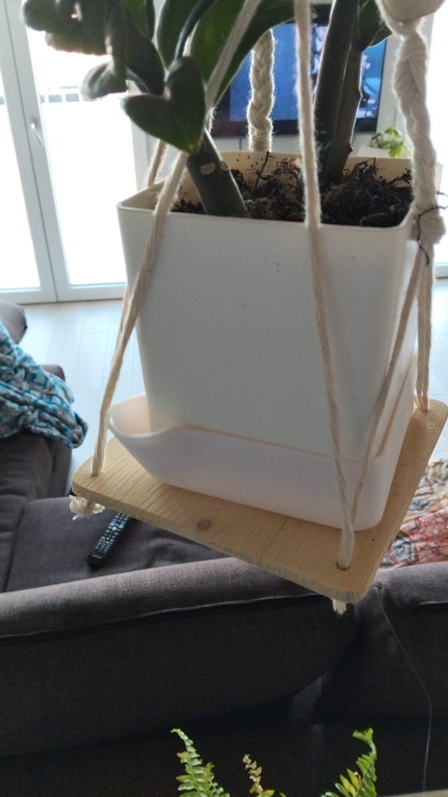 Square Under pot planter with inspection