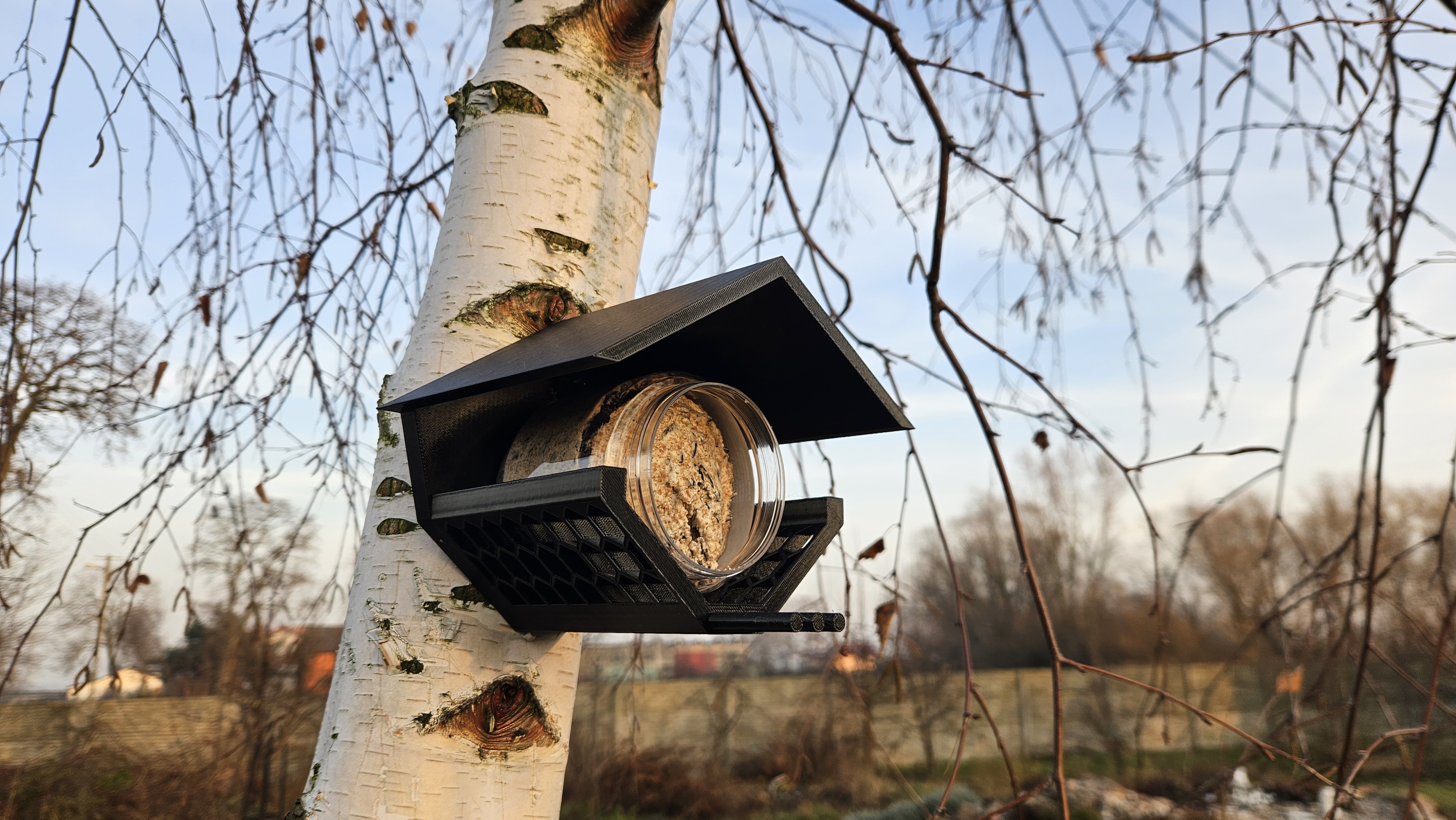 Bird feeder jar