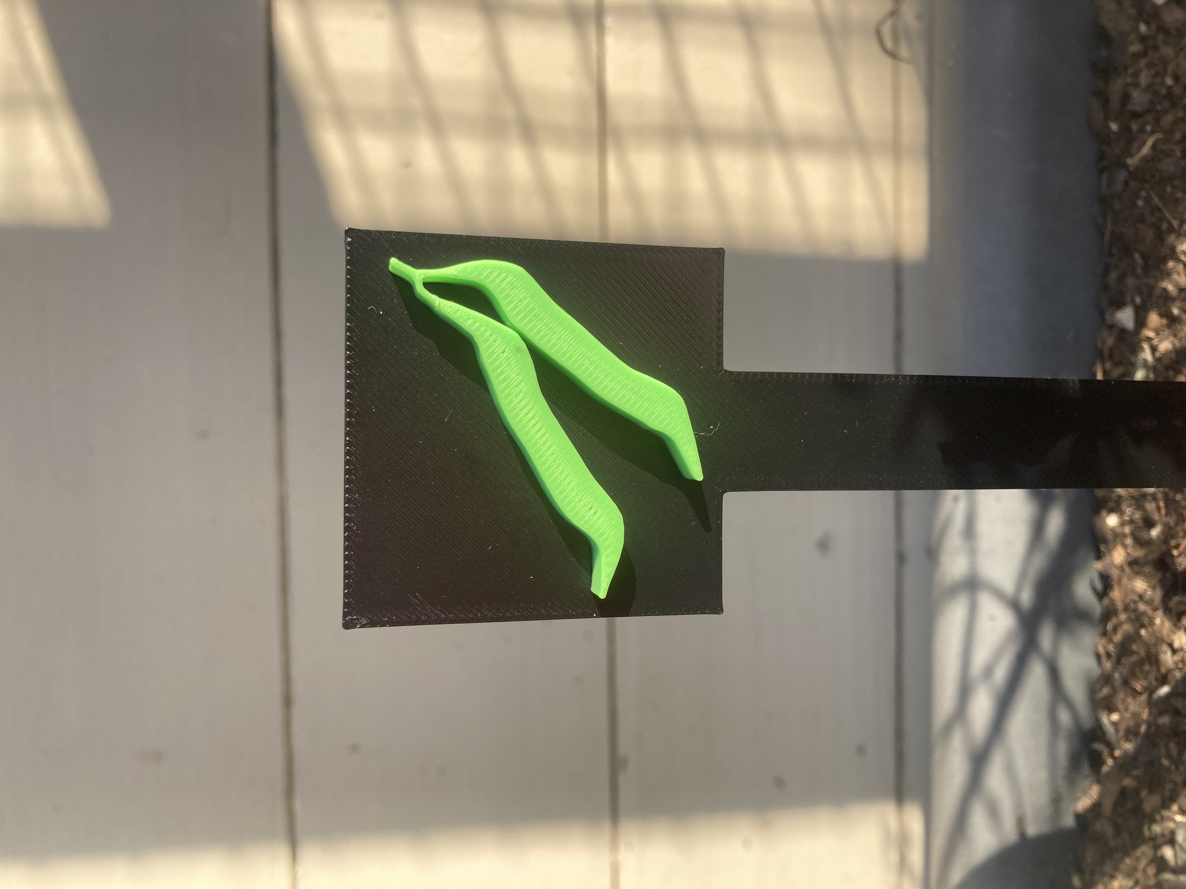 Beans Garden Sign