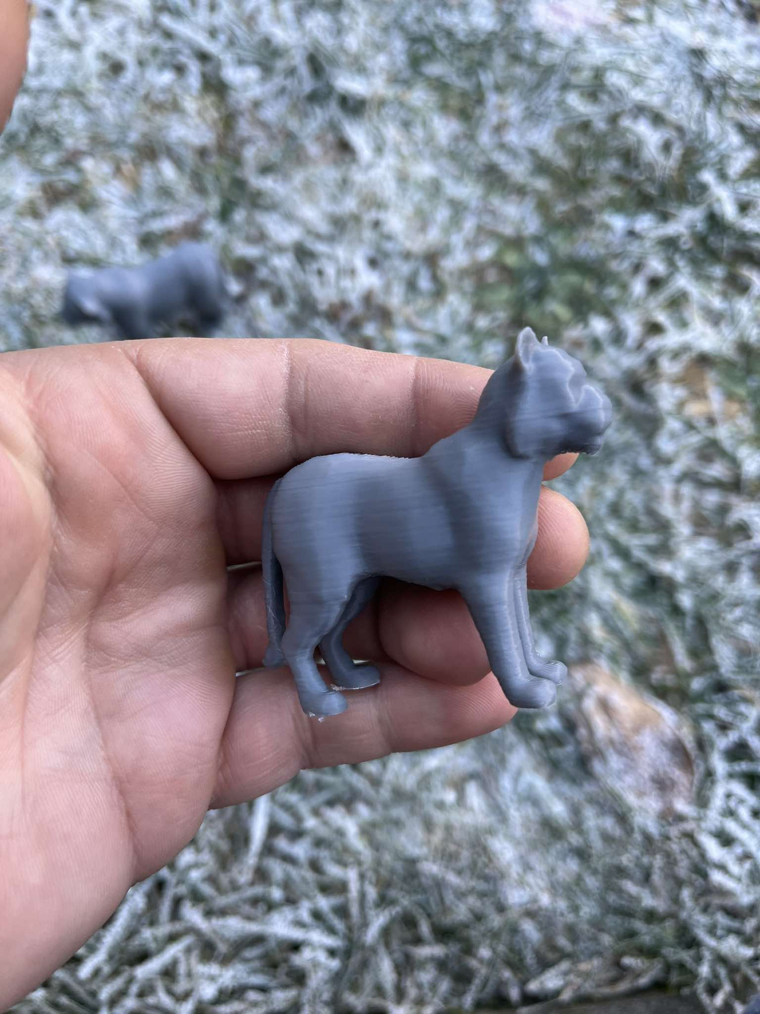 Tiger family — miniatura 2