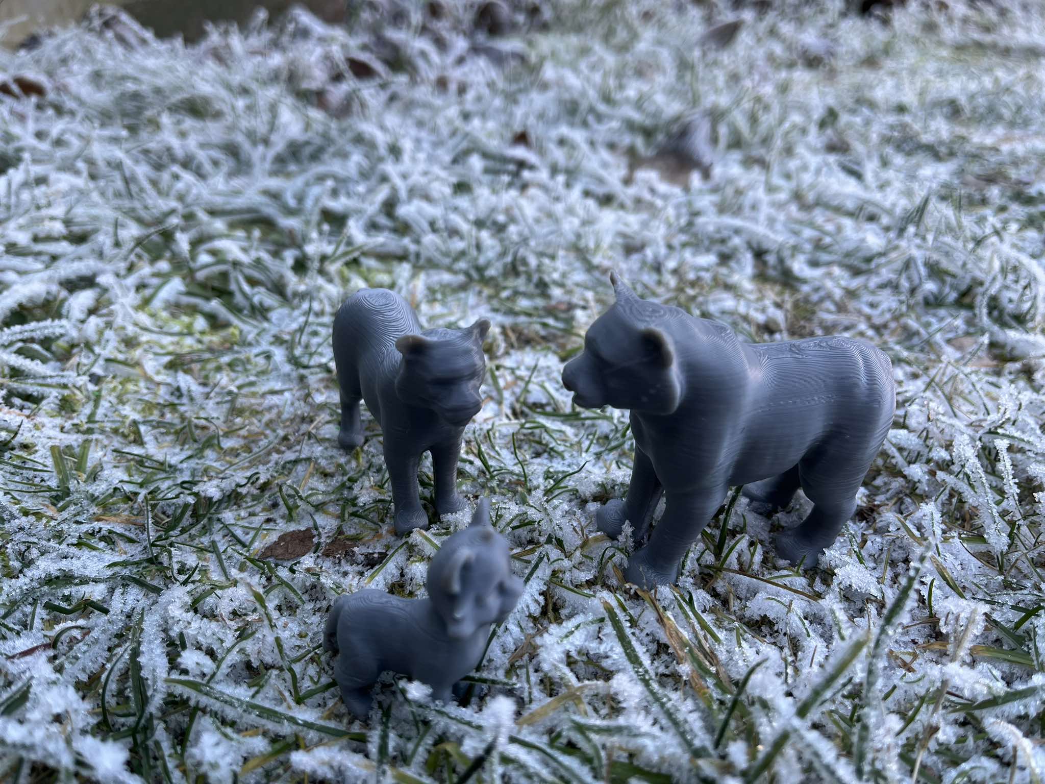 Tiger family — miniatura 6