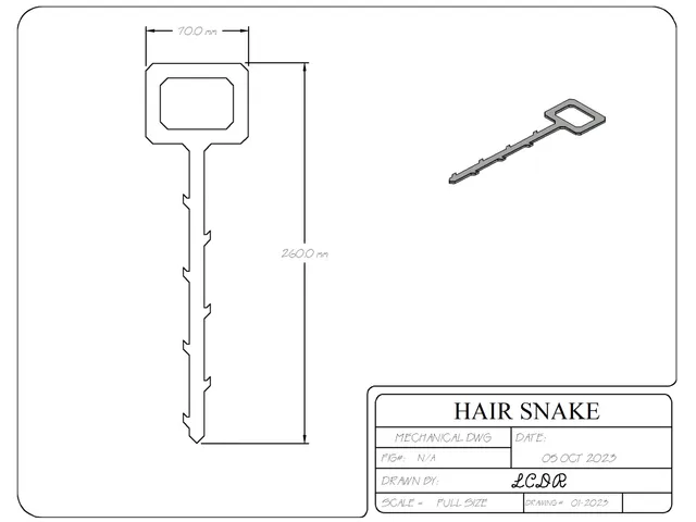 Hair Drain Snake
