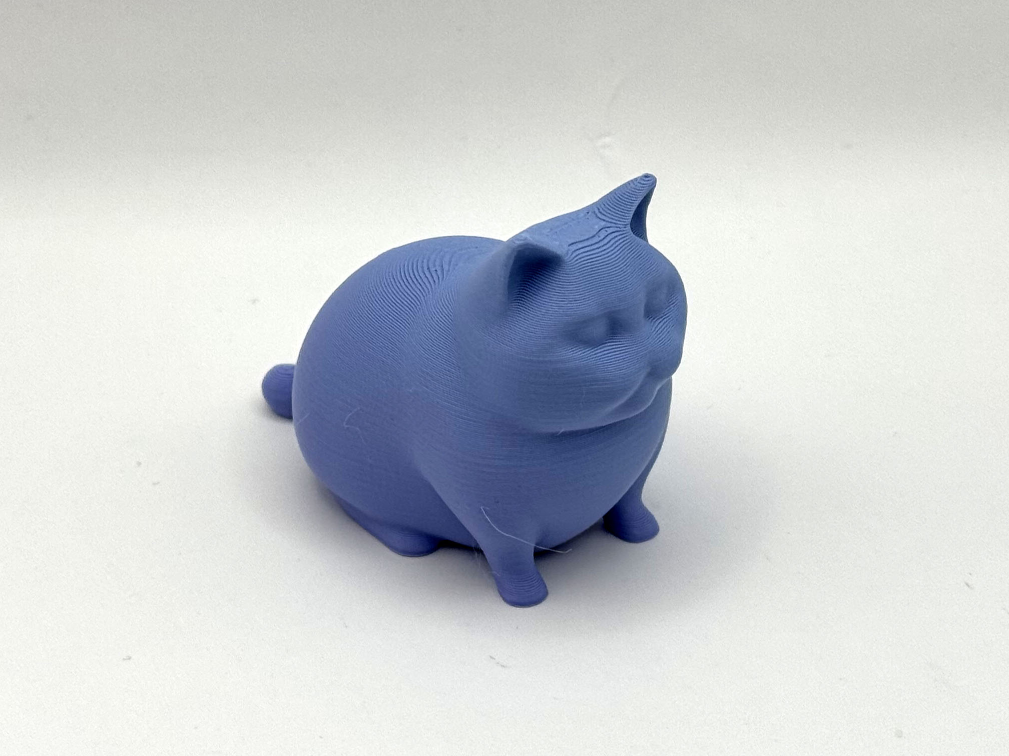 Cute Big Kitty — miniatura 3