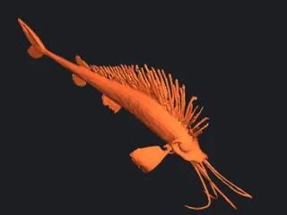 Oarfish by Aiden Liam | Download free STL model | Printables.com