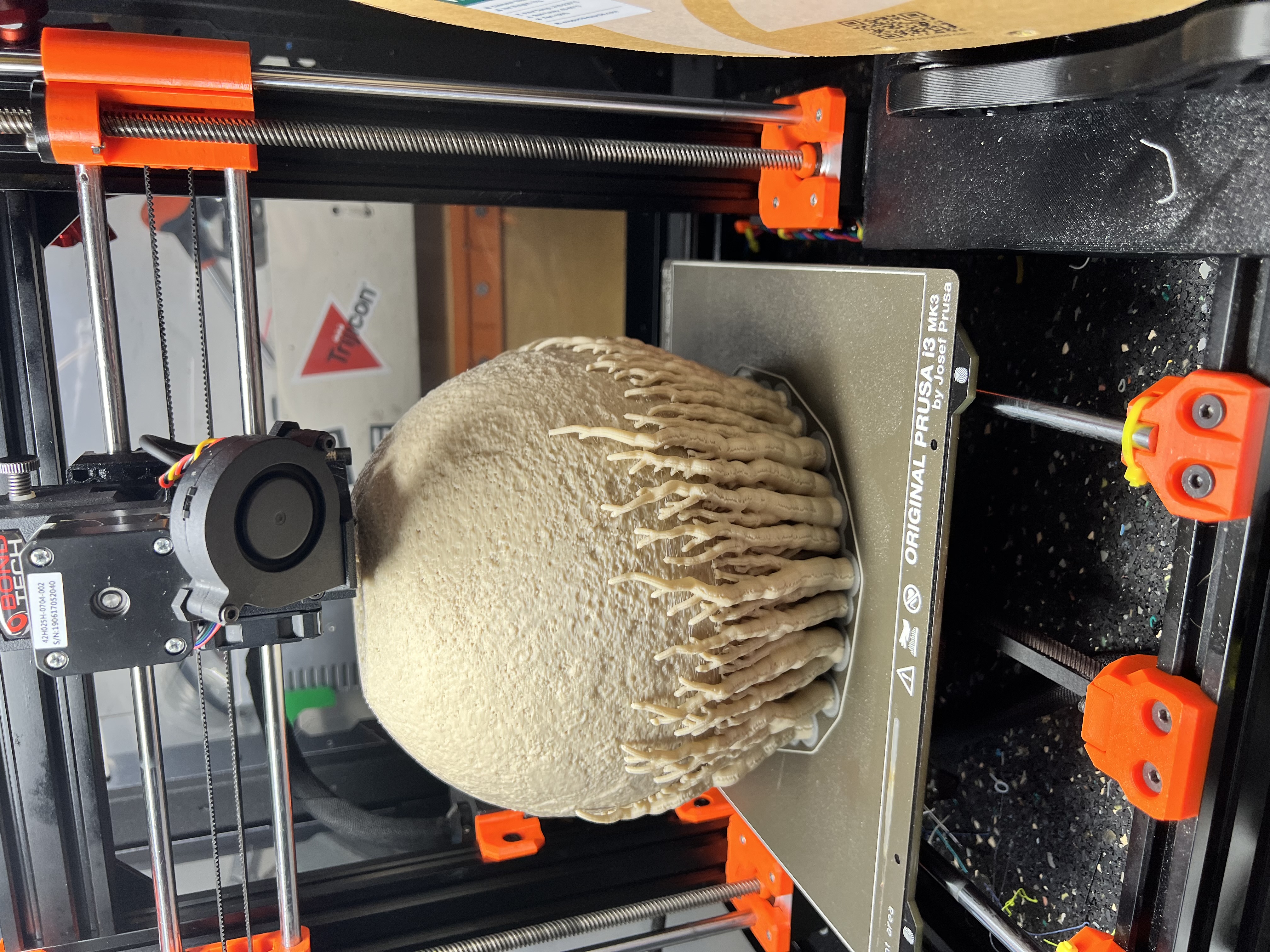 Spool Roller bering