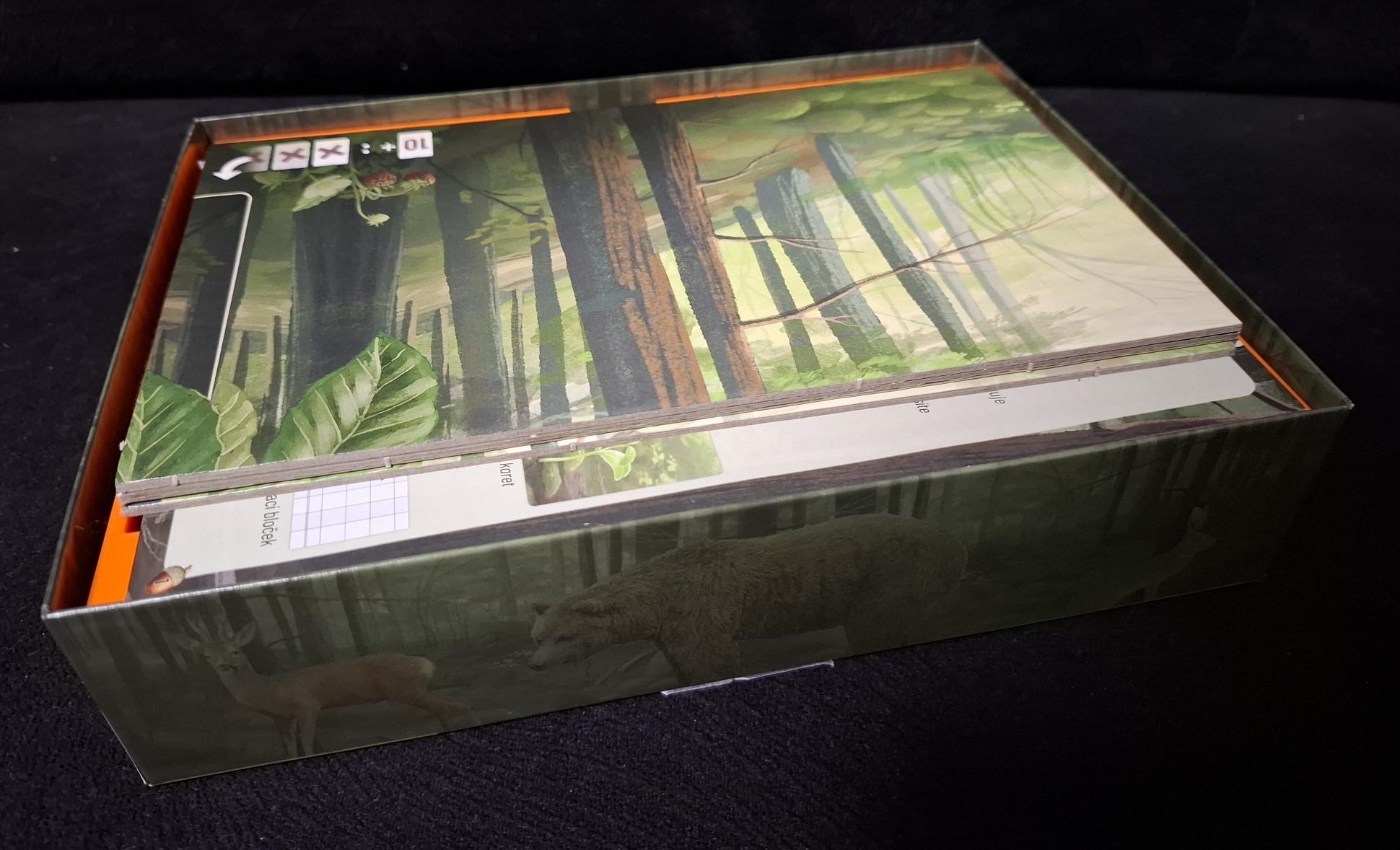 Miniatura 5 do modelo 3D Forest Shuffle insert