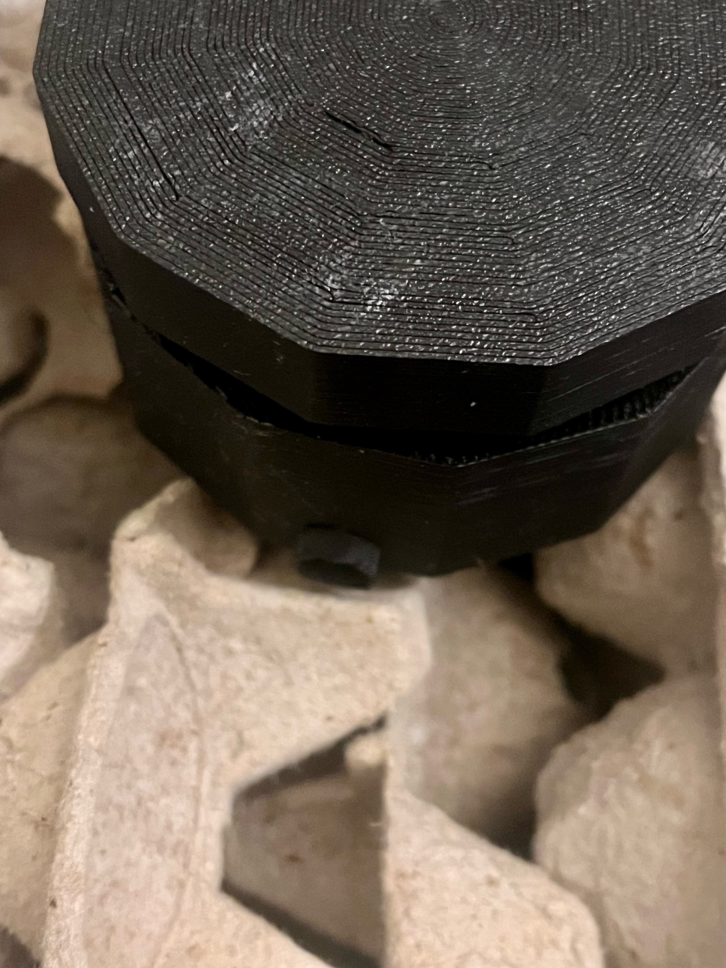 Miniatura 2 do modelo 3D Cockroach and Insect Sorting Accessory