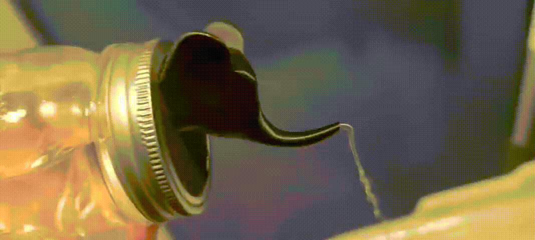 Elephant Head Mason Jar Lid Insert