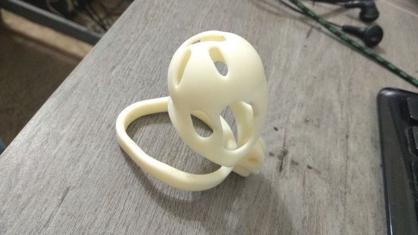 two piece chastity cage