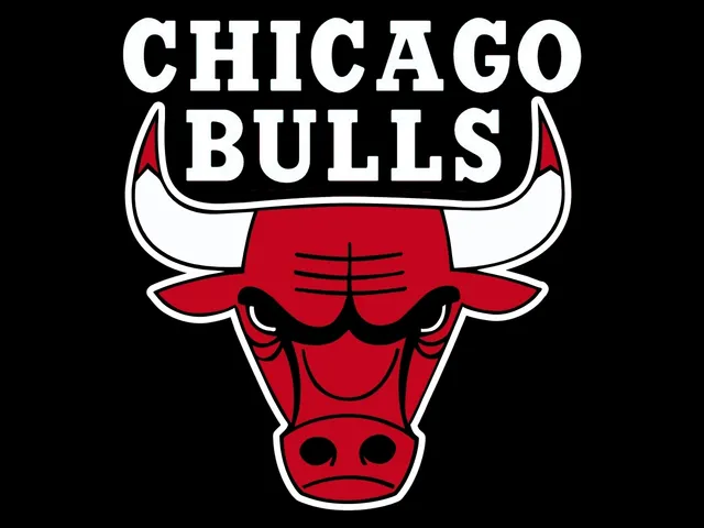 Chicago bulls logo
