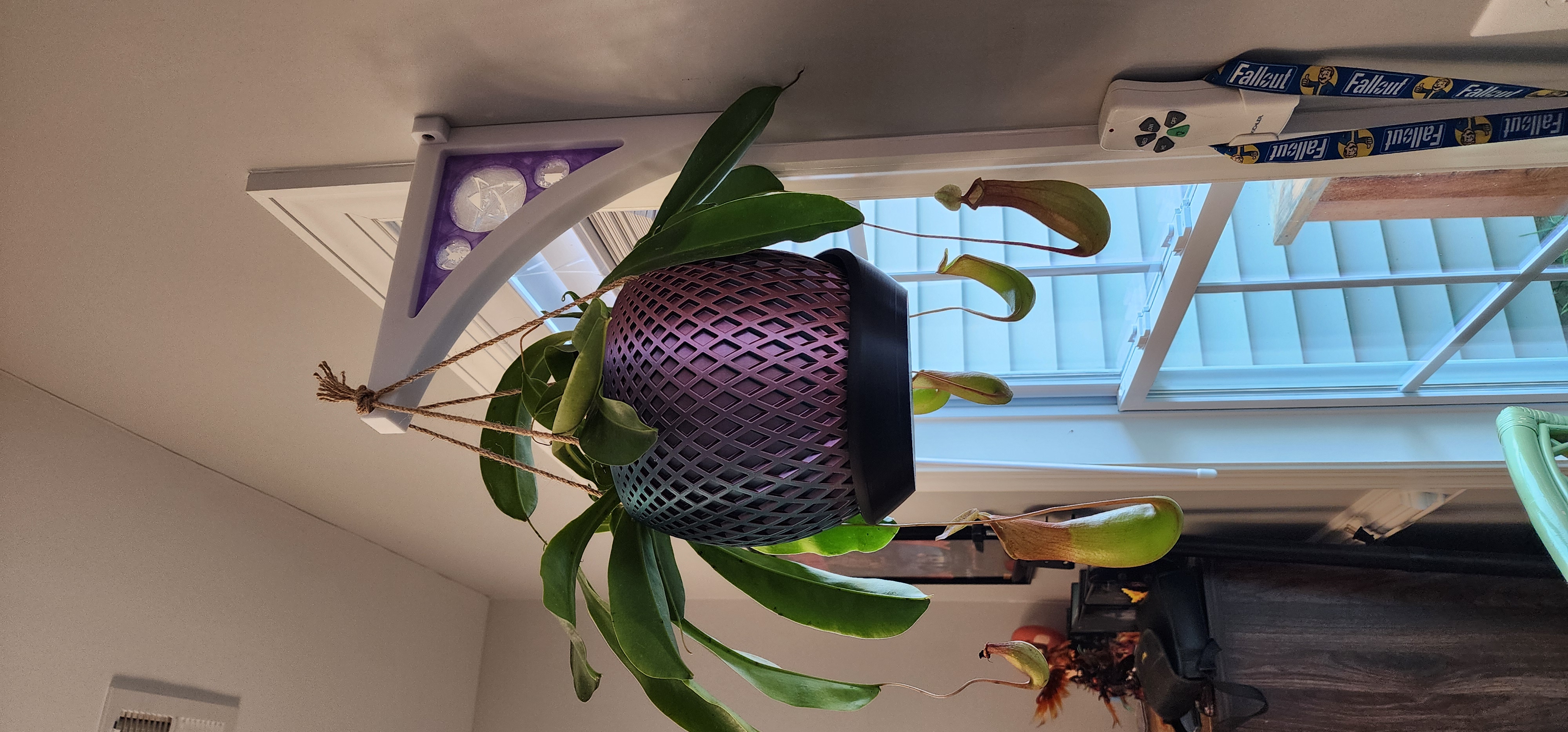 Arched Plant Hanger