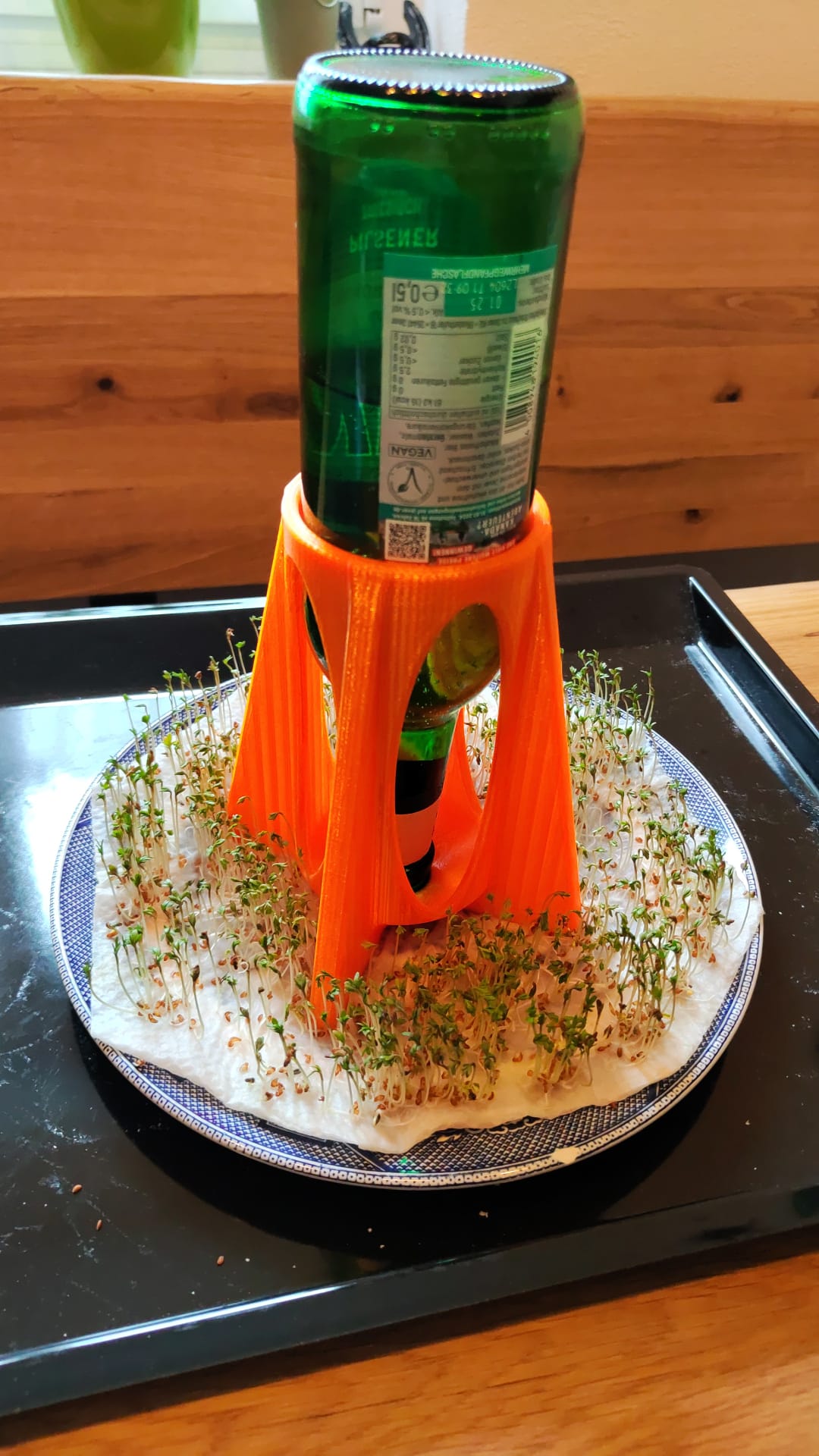 Cultivation rocket bottle holder for watercress