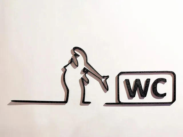 WC door hanger from the iconic cartoon "La Linea" Balum Balum.