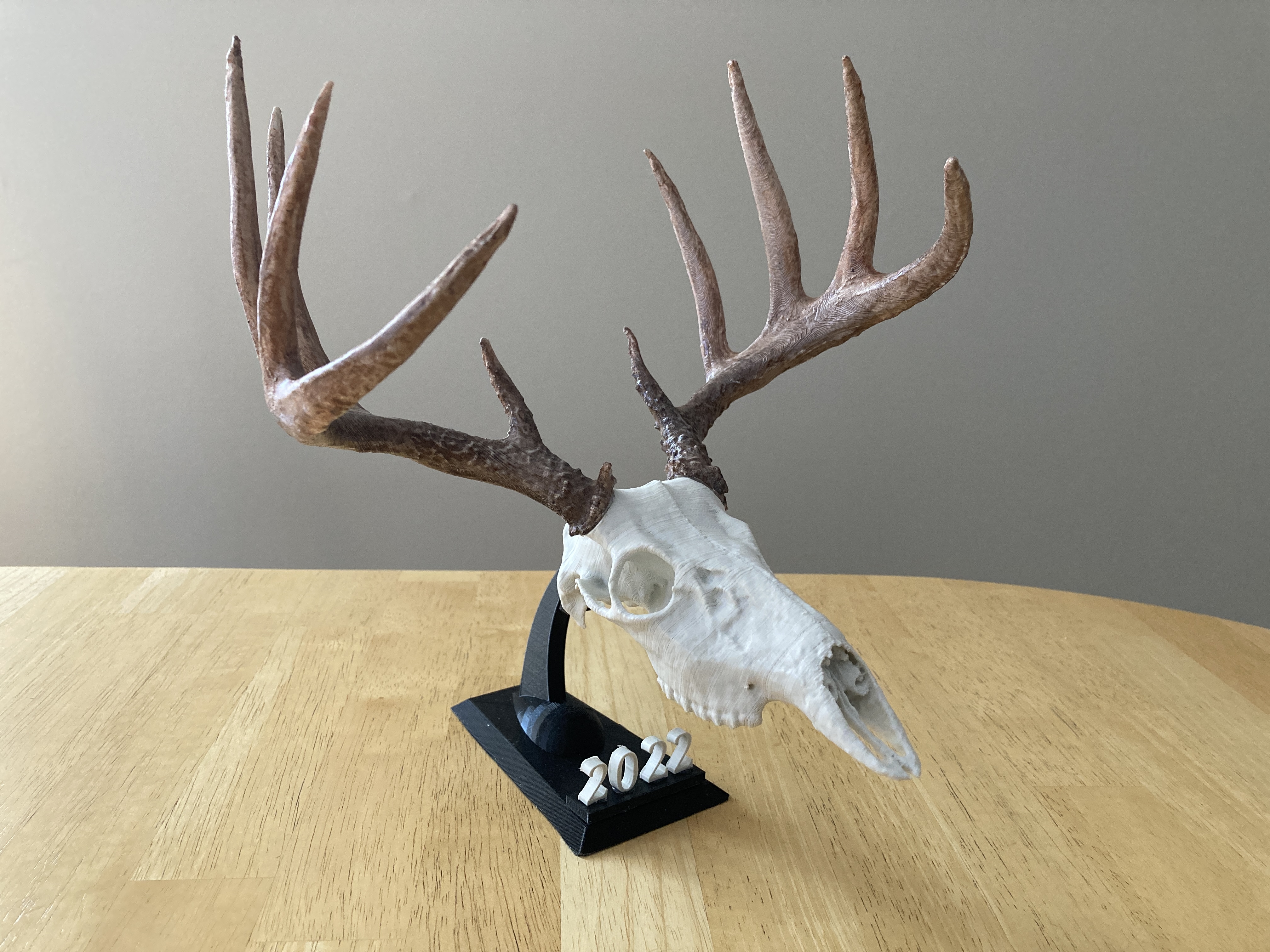 Improved Whitetail Deer Euro Mount Miniature 3D model thumbnail