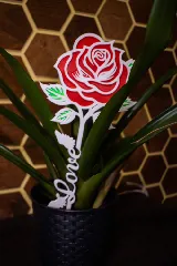 Love rose