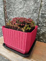 Plant Pot 130 x 130 mm / Blumentopf 130 x 130 mm