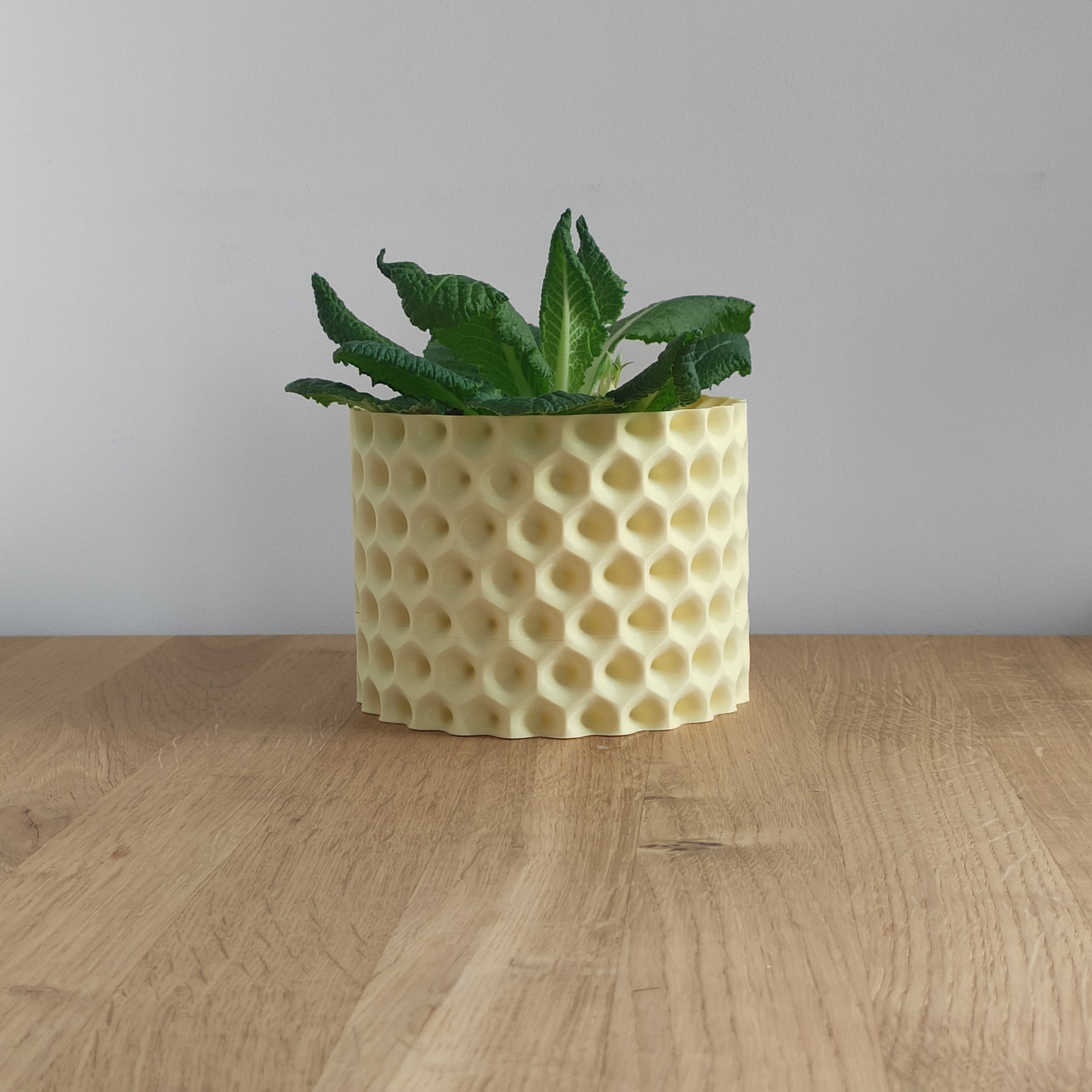 Planter