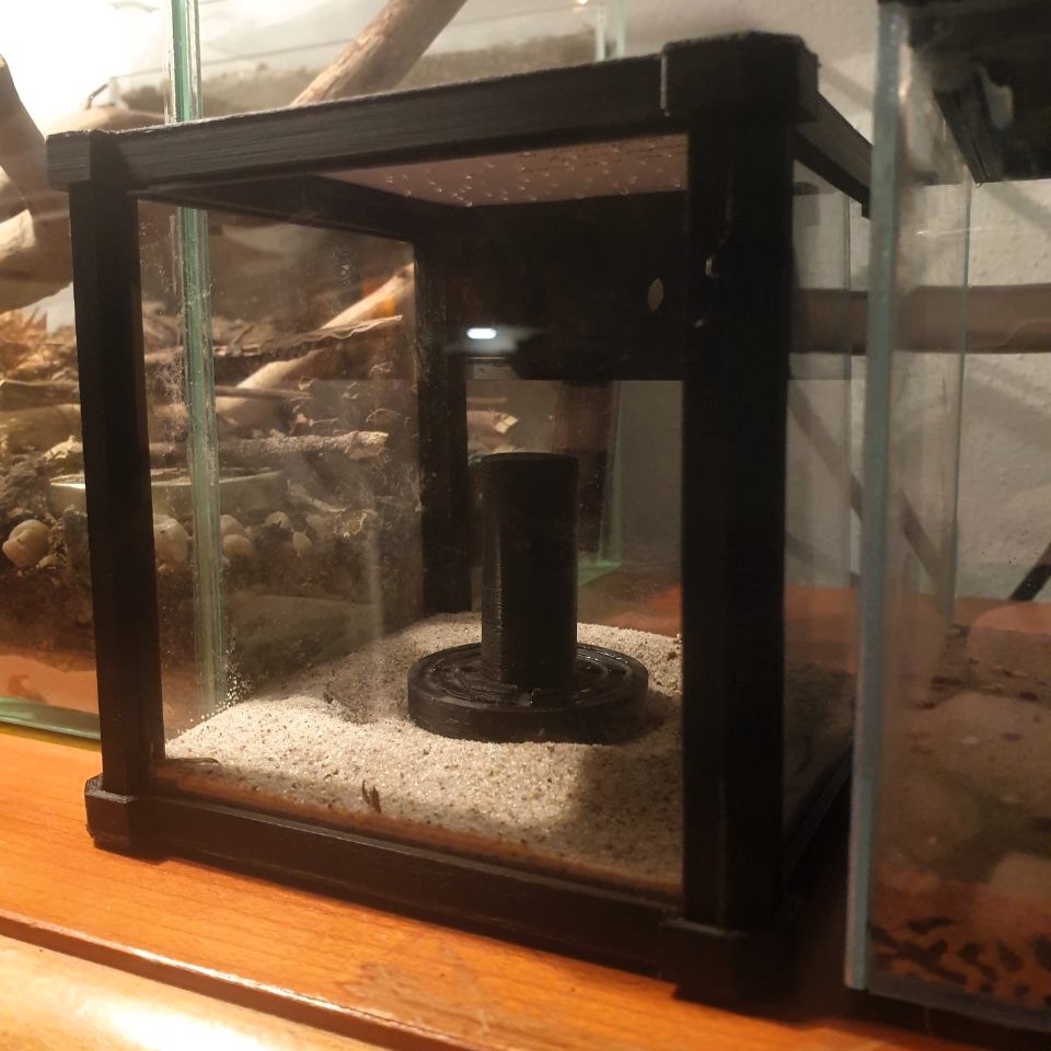 Formicarium 10x10cm
