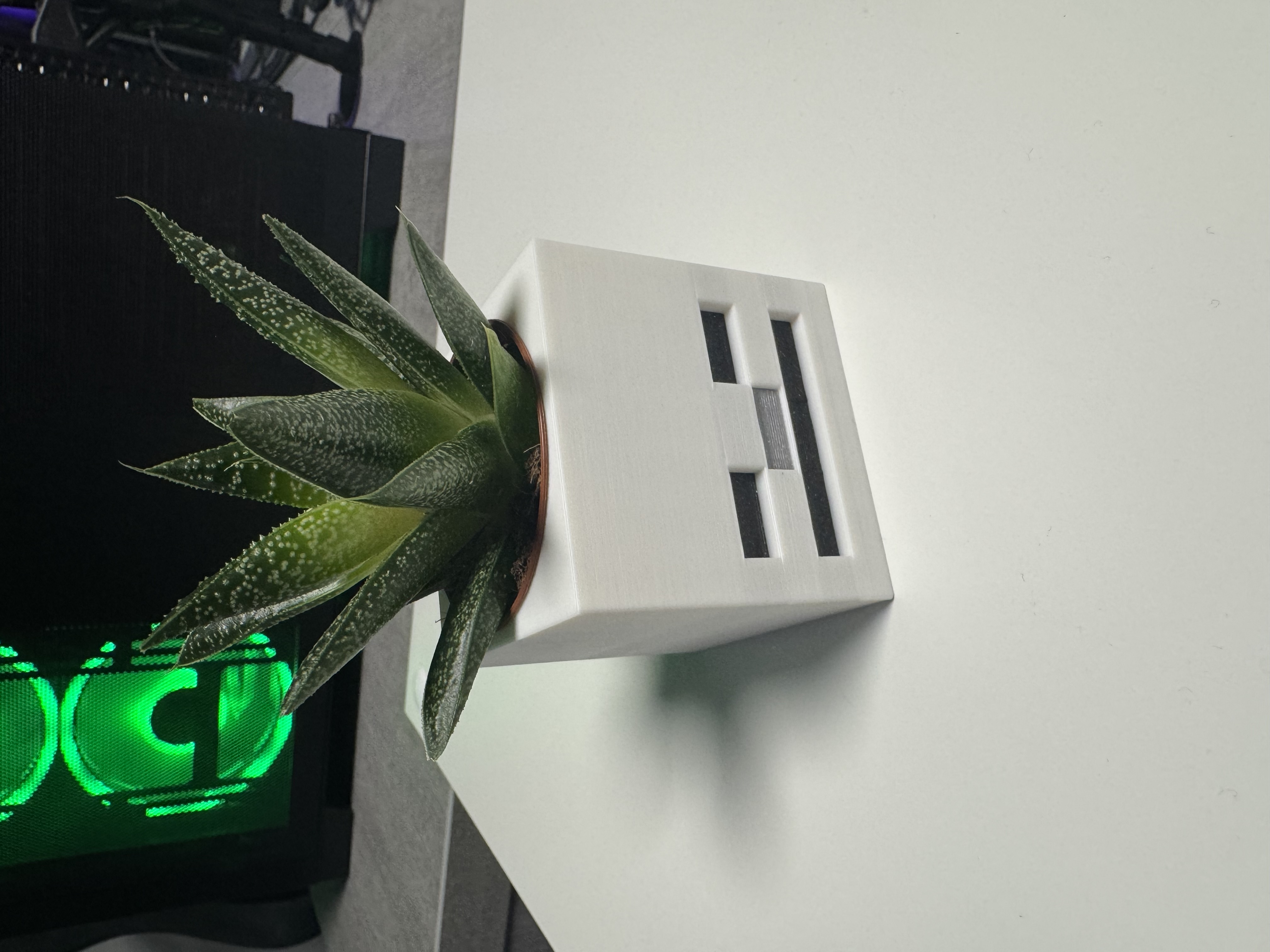 Minecraft Skeletonhead Planter