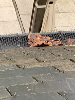 Miniatura 2 do modelo 3D Rain Gutter Leaf Guard