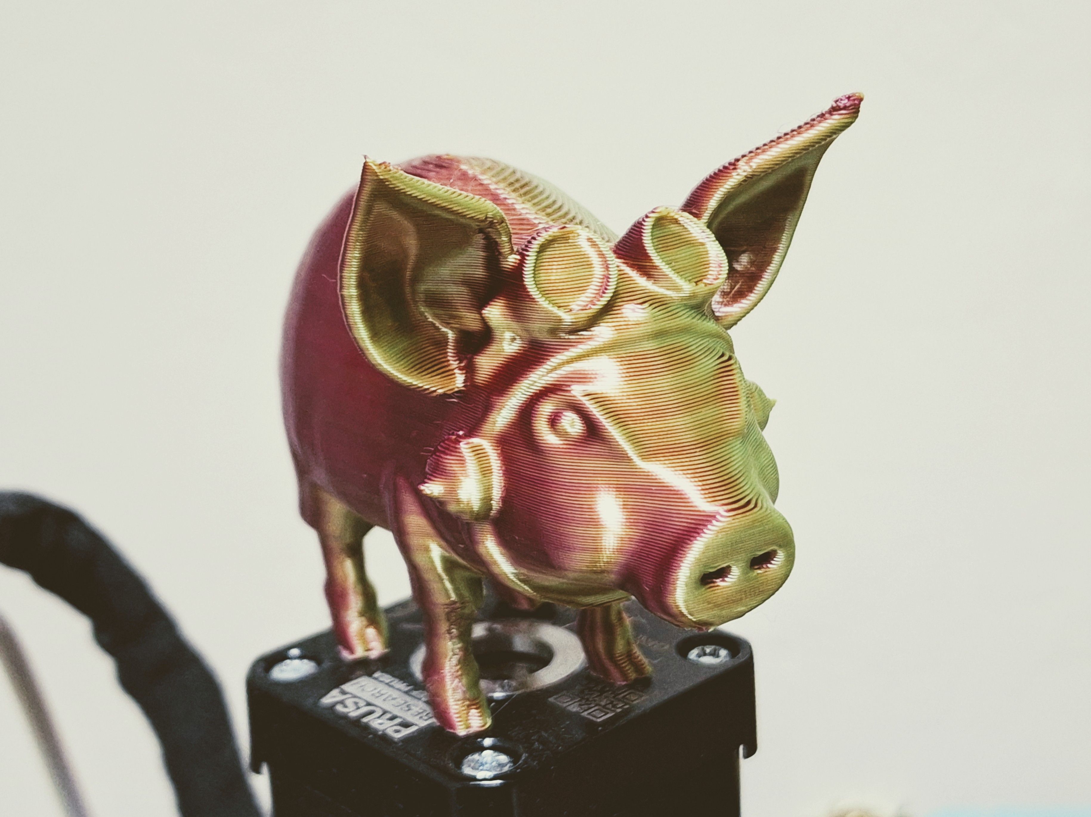Steampunk Pig