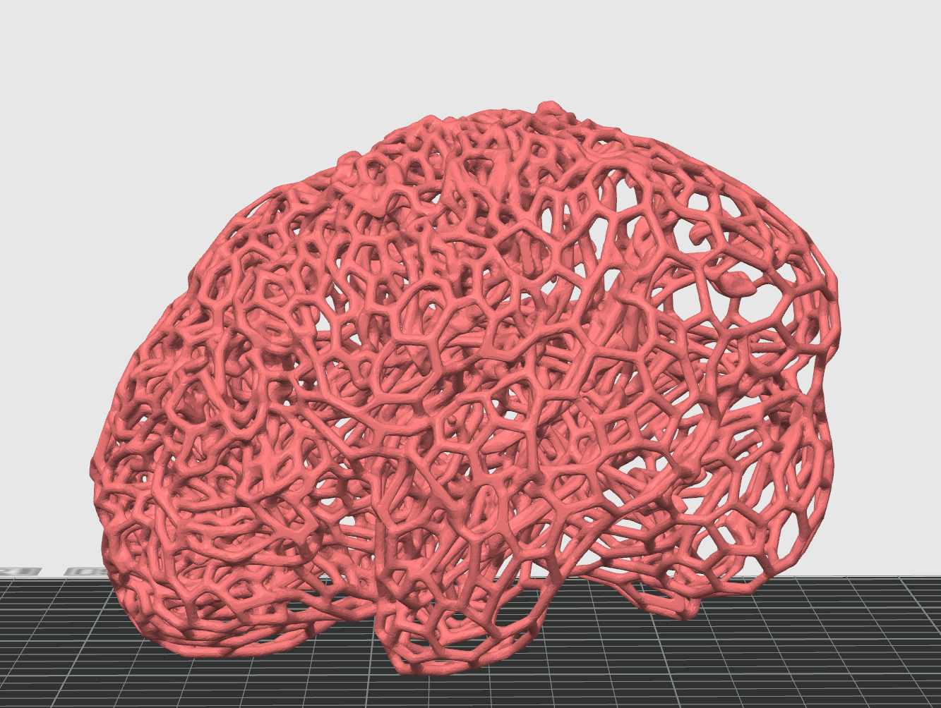 Human Brain Voronoi — miniatura 2