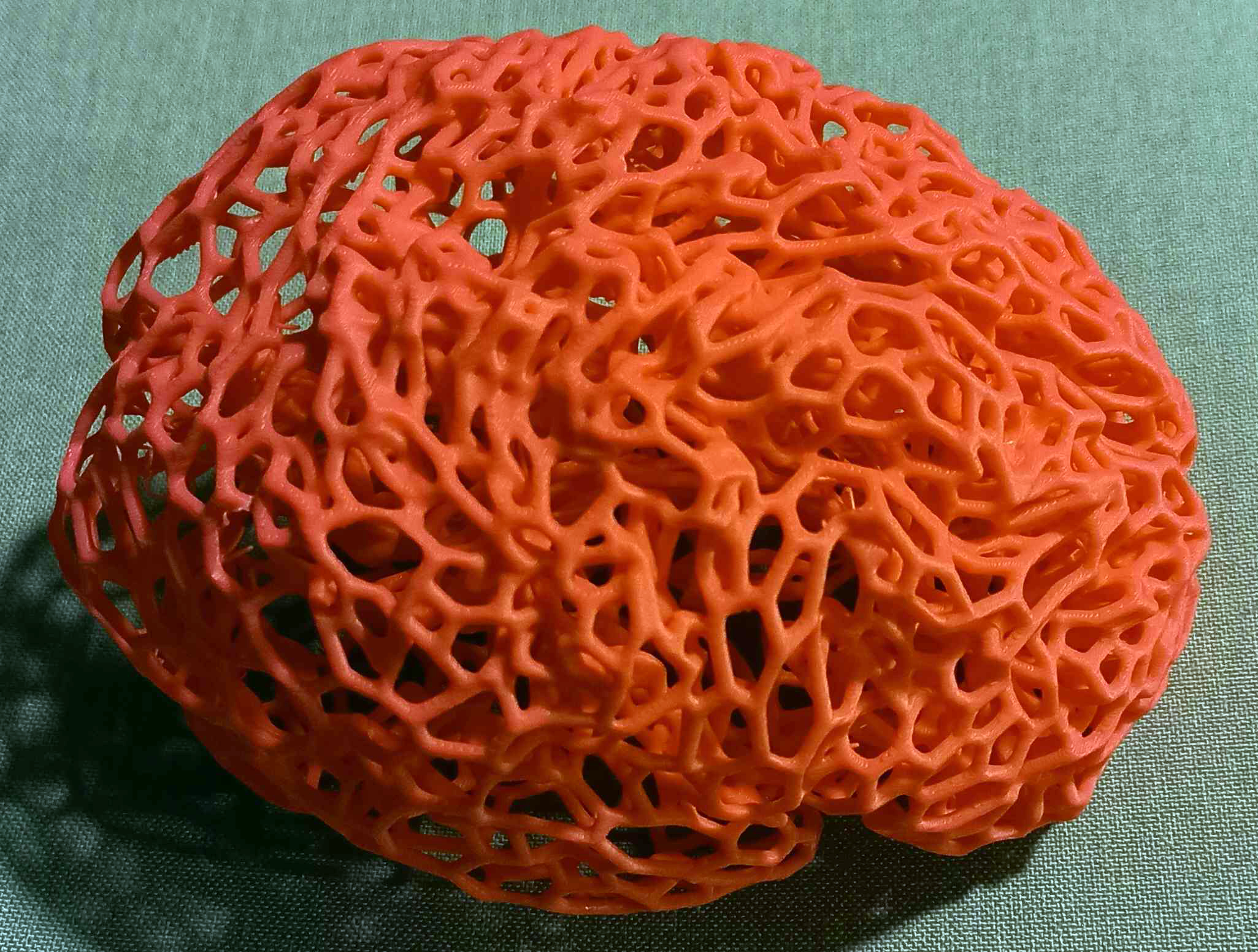 Human Brain Voronoi — miniatura 4