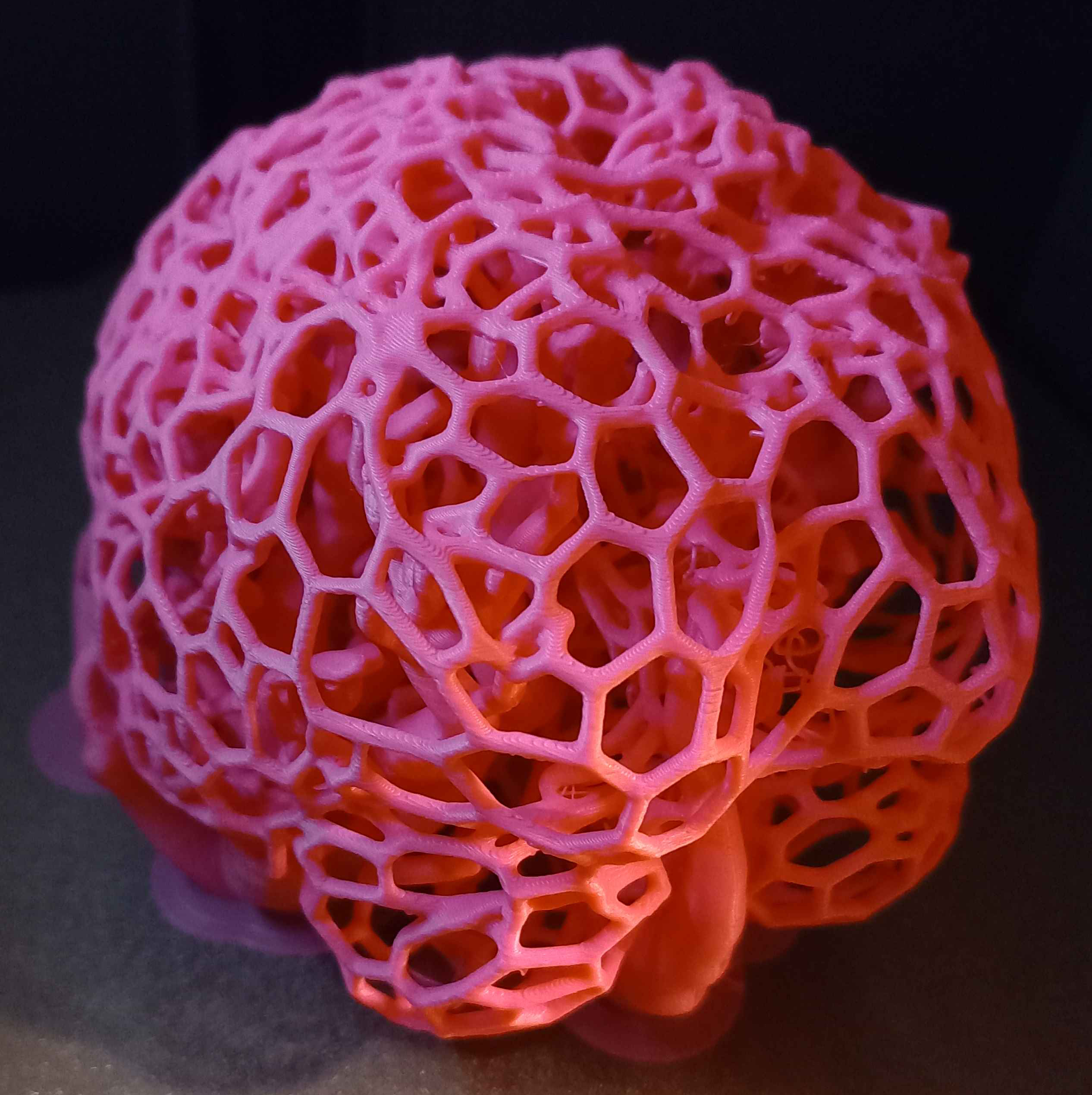 Human Brain Voronoi — miniatura 3