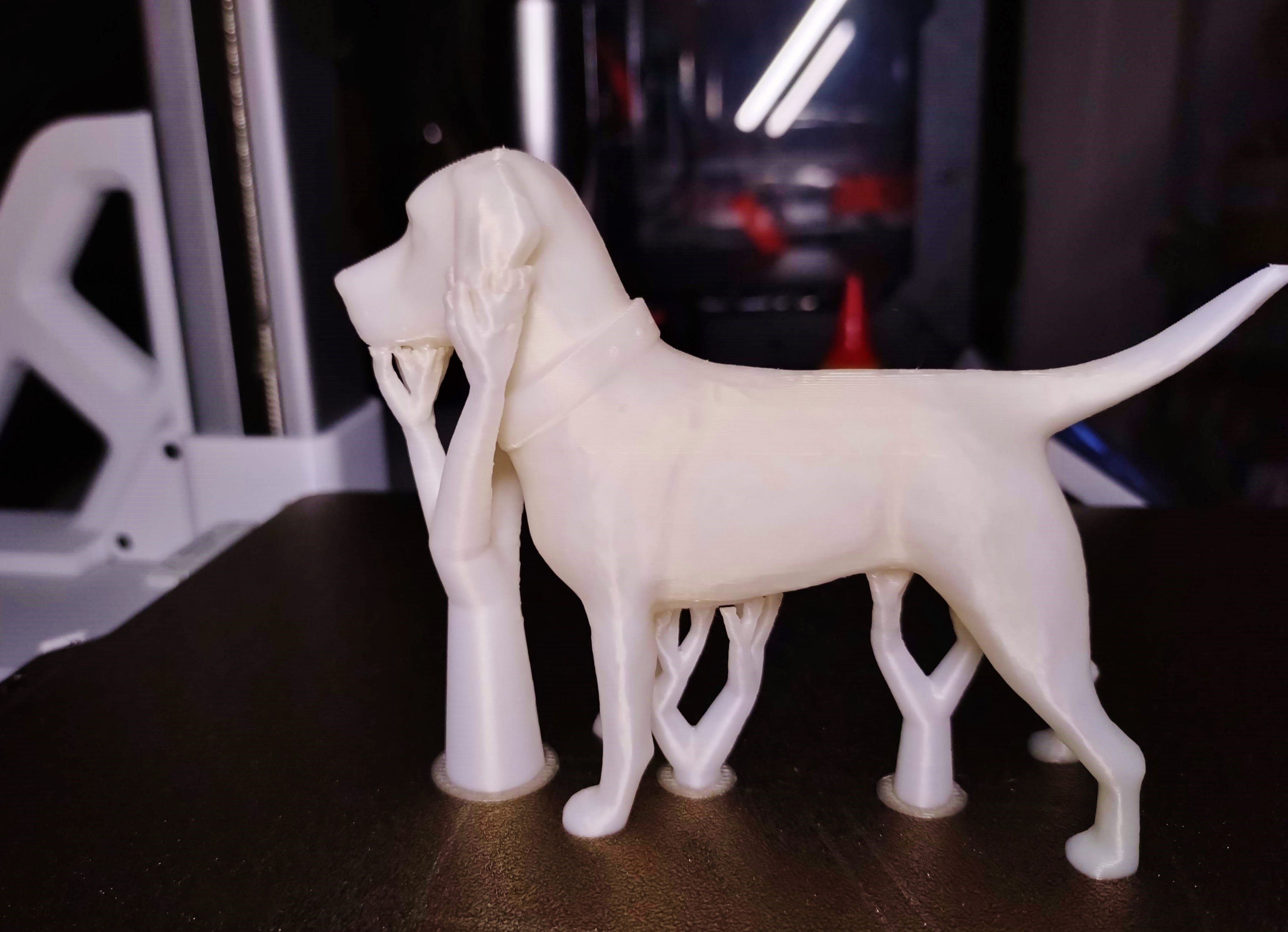 Labrador Retriever — miniatura 4