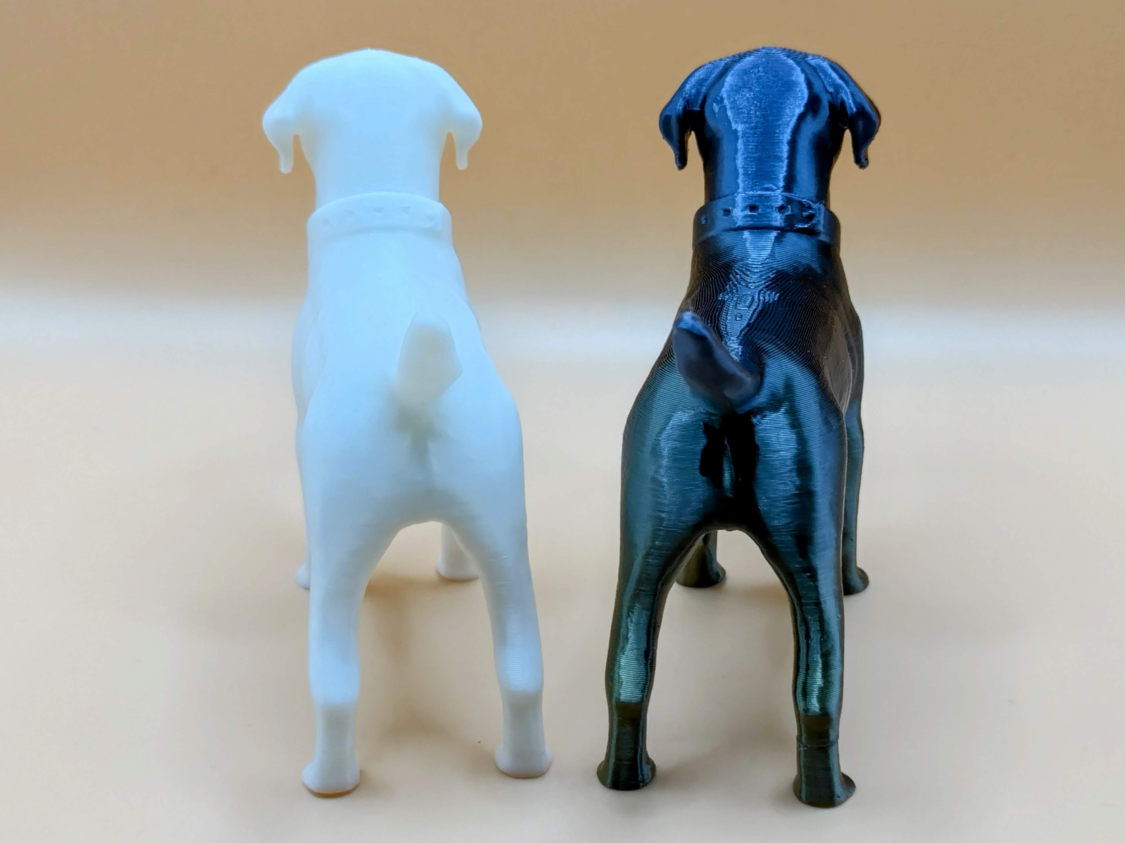 Labrador Retriever — miniatura 3