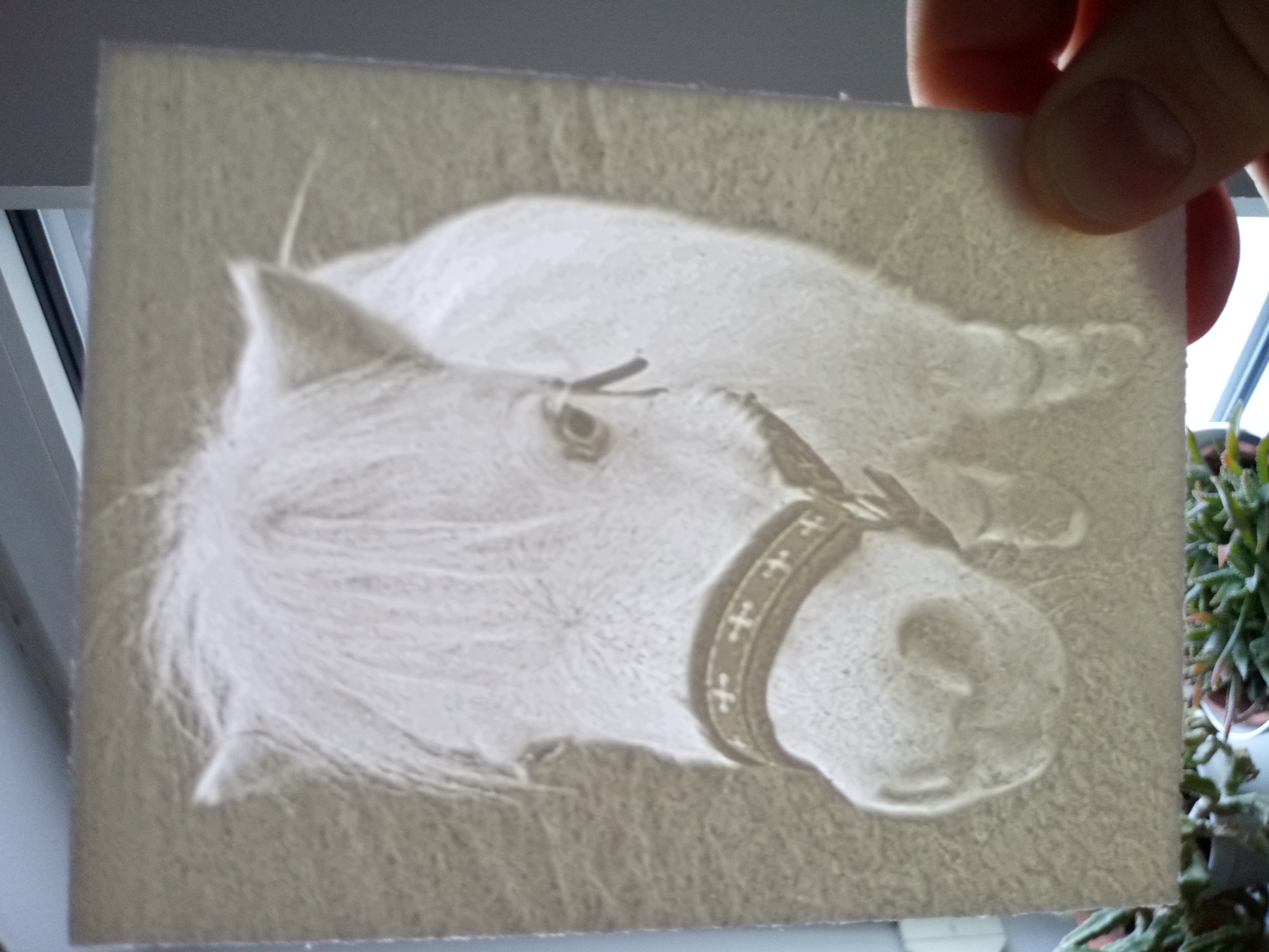 Cute shetland pony lithophane